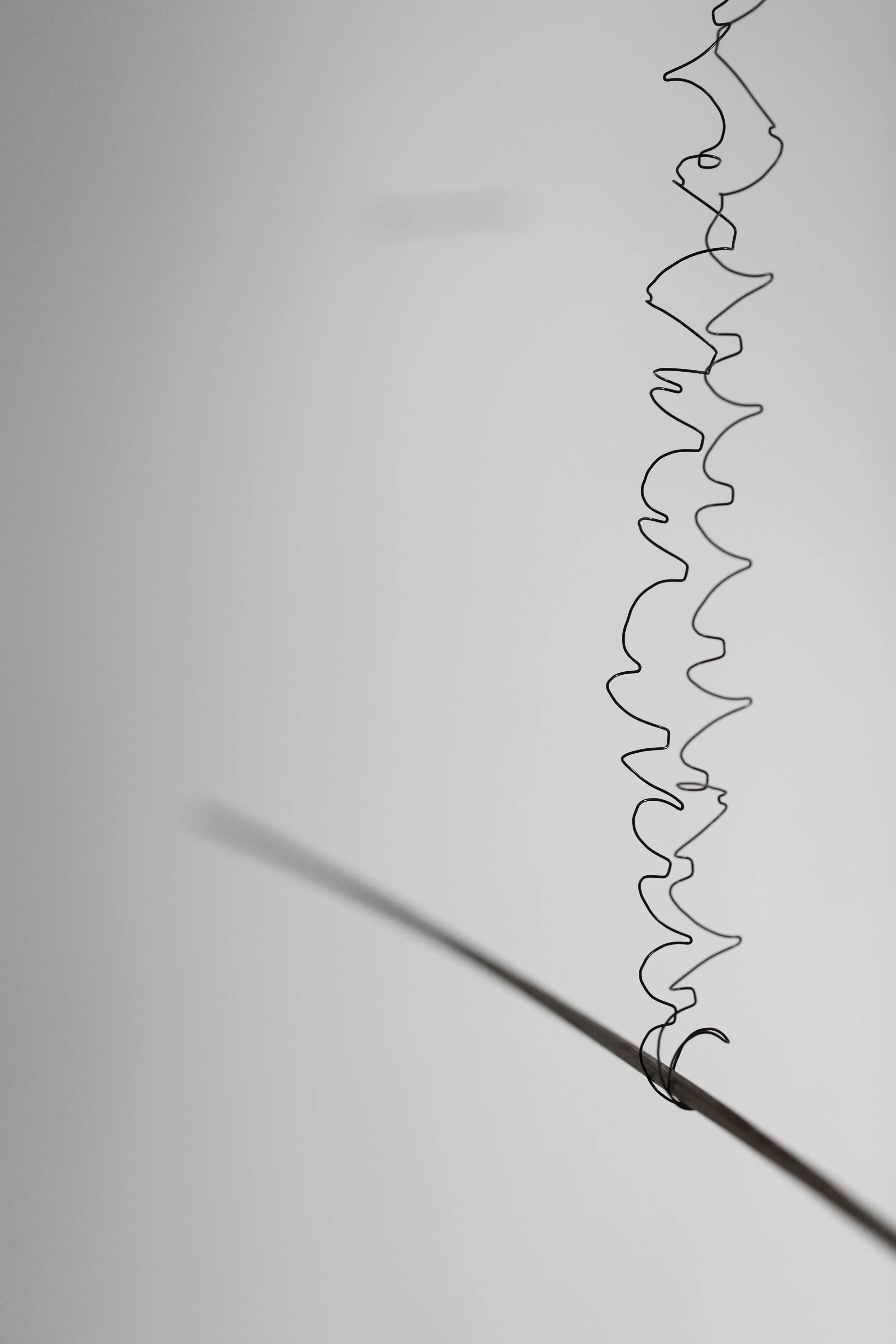   Language of unfixed structures (reaction),  suspended steel rod, coiled ring binder, wire rope, steel threaded rods  Photo credit: James Field 