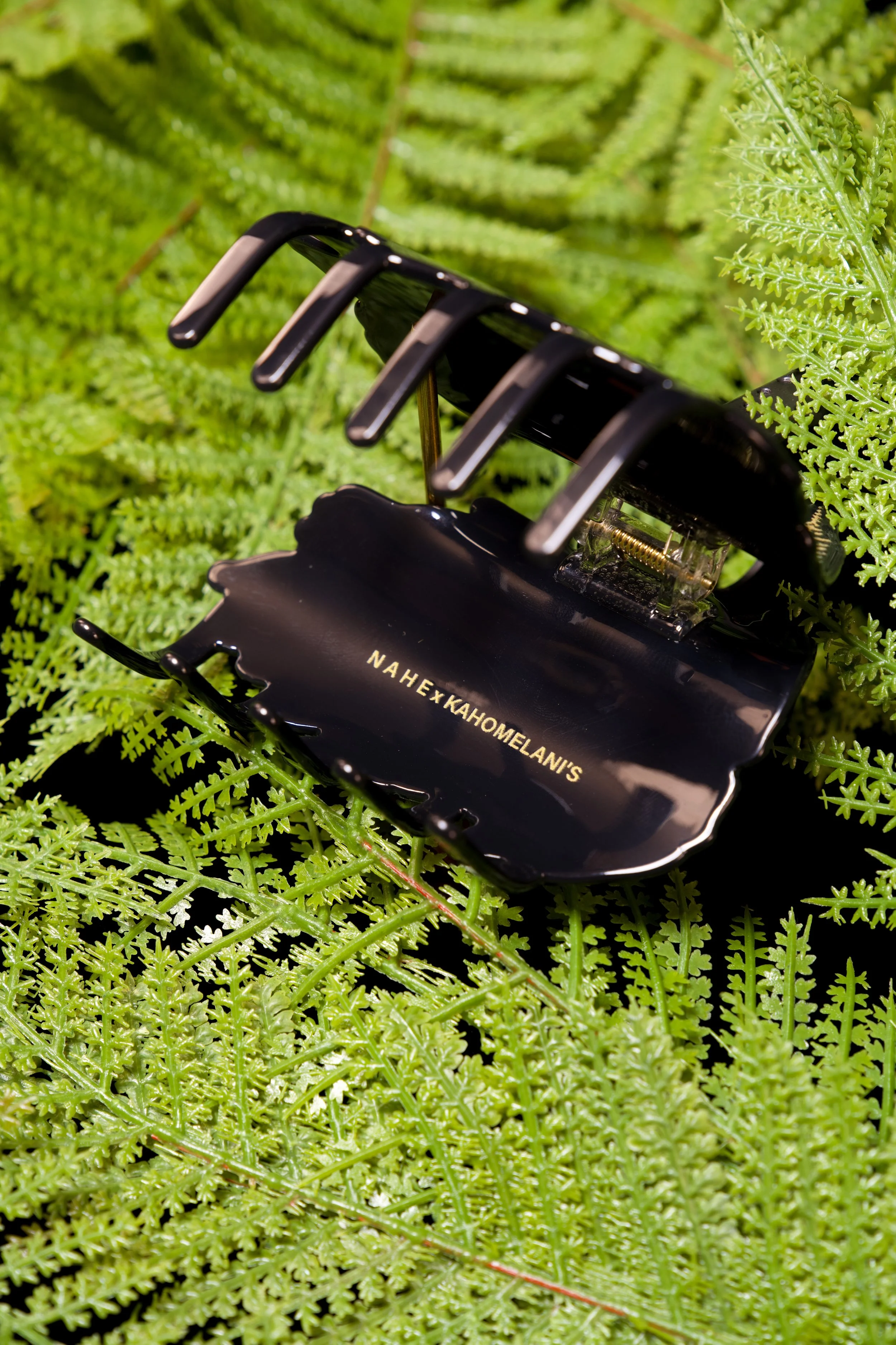 Photo Mar 26 2026, 6 10 29 AM.jpg