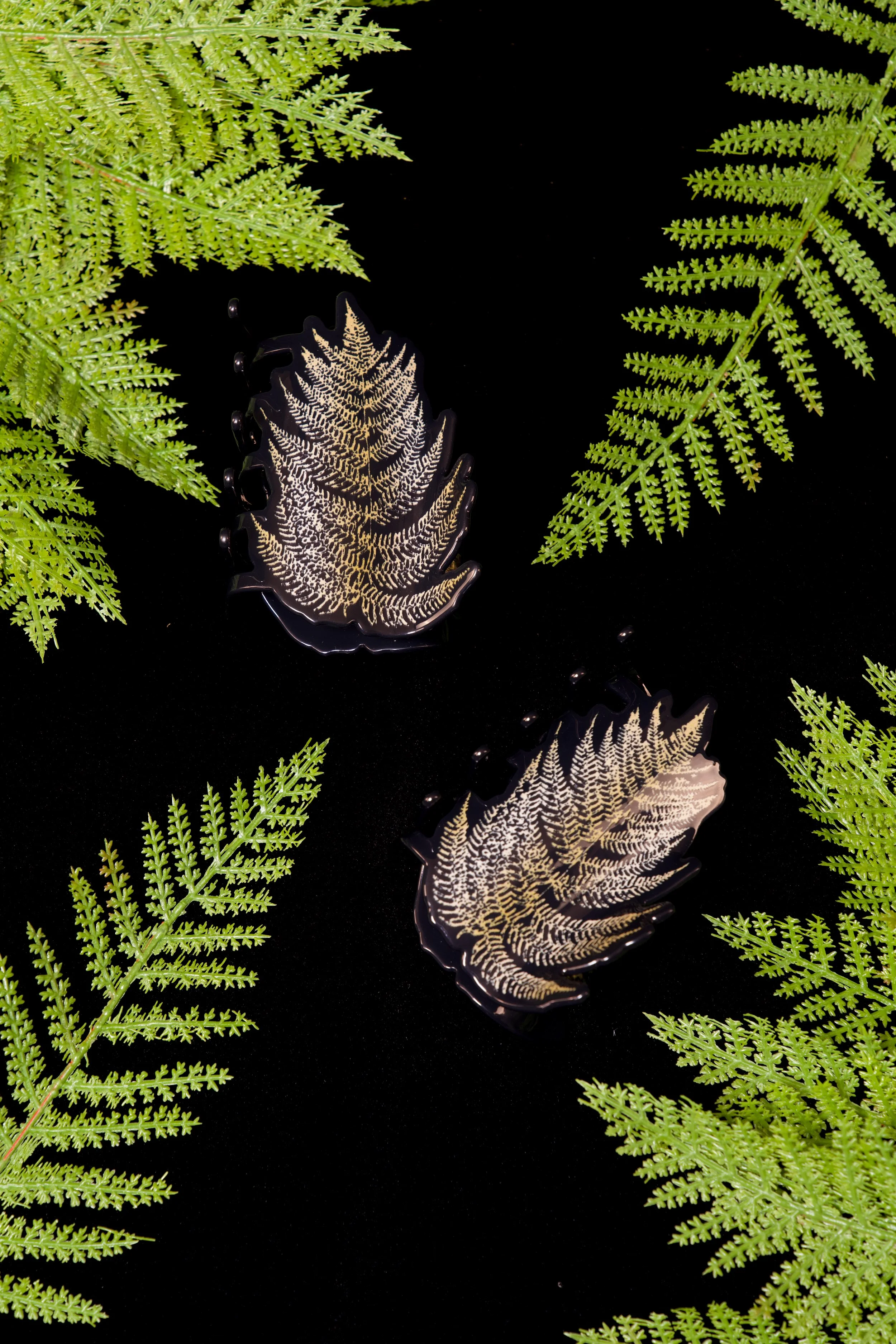 Photo Mar 26 2026, 6 03 25 AM.jpg