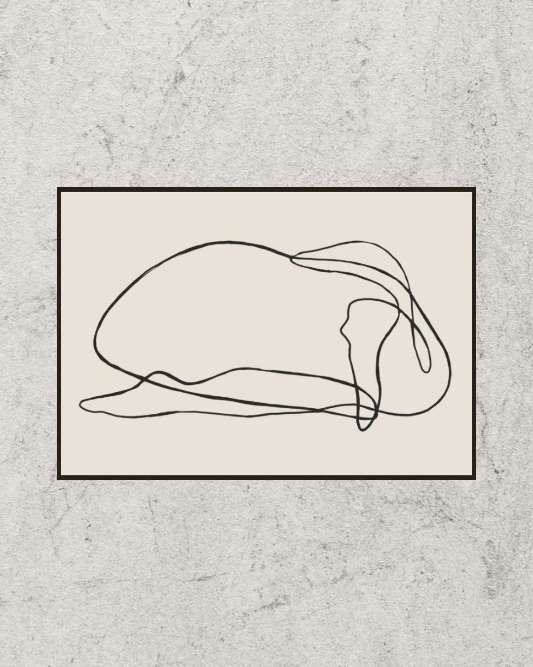 Untitled - February 23, 2026 20.16.jpg