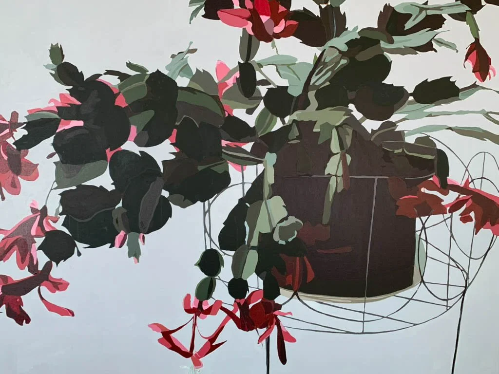 Christmas Cactus