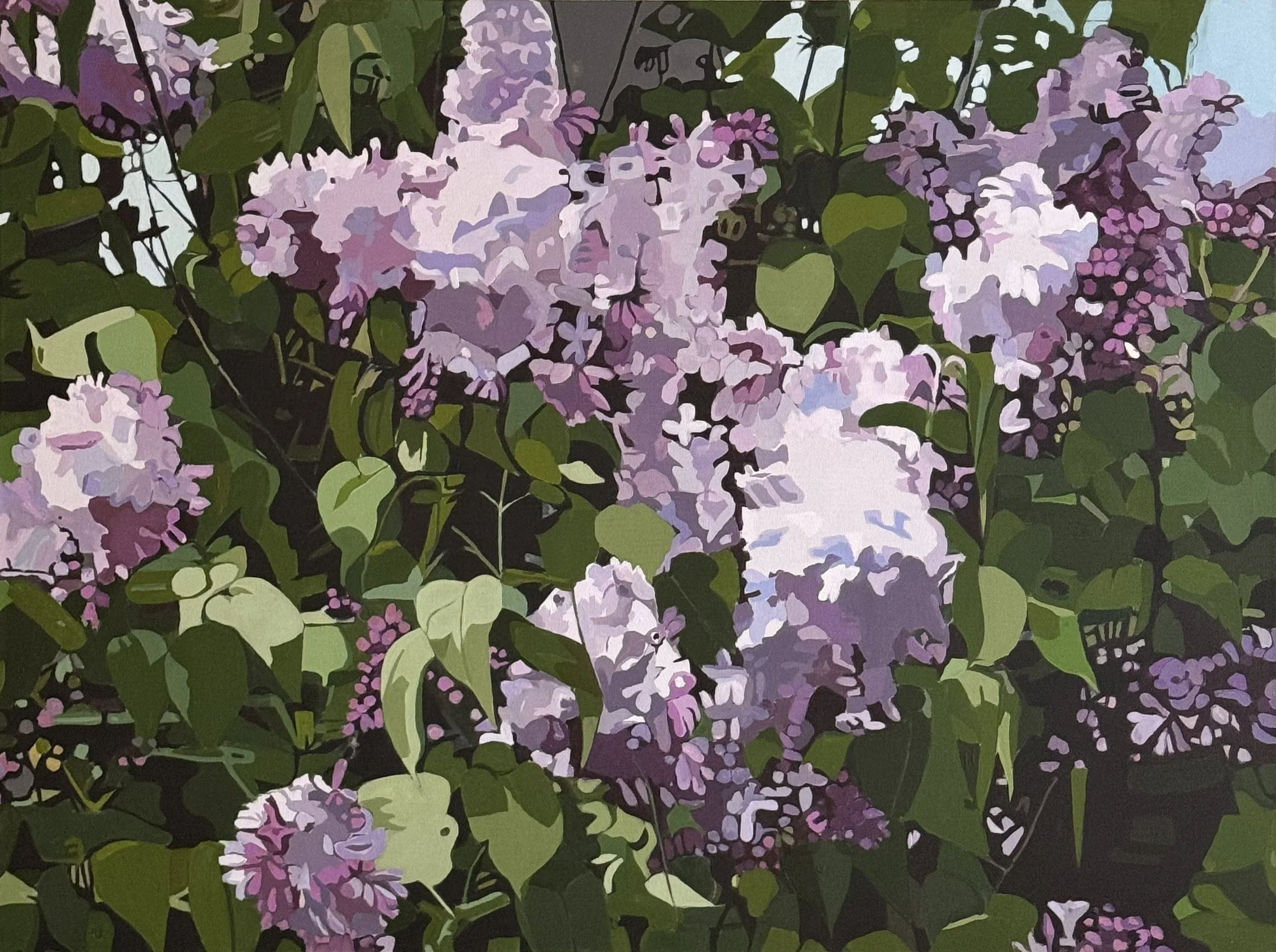 Lilacs