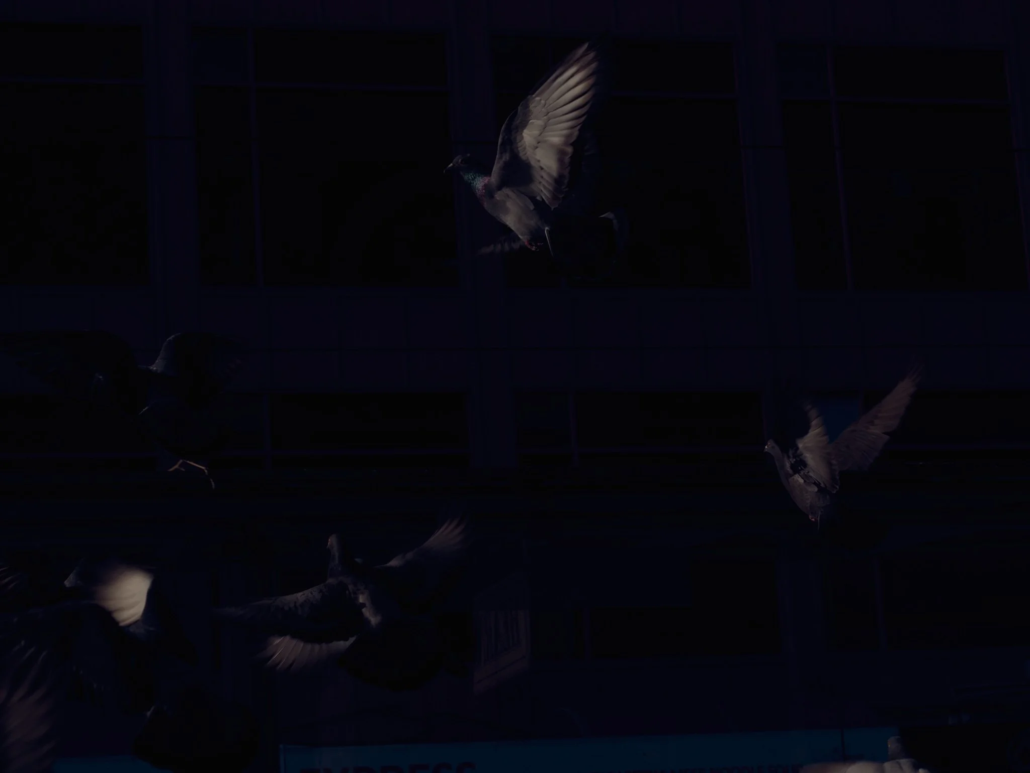 DylanMarriott-Night-Paintings-Web 2.jpg