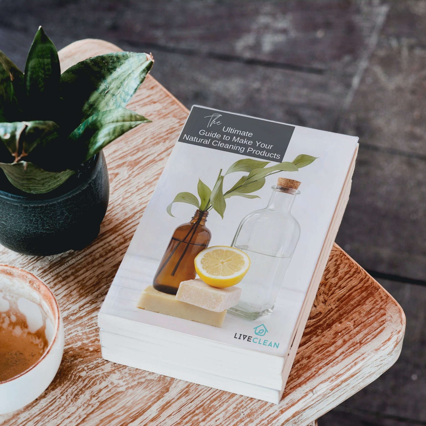 COVER+NATURAL+CLEANING+RECIPES+%281%29.jpg