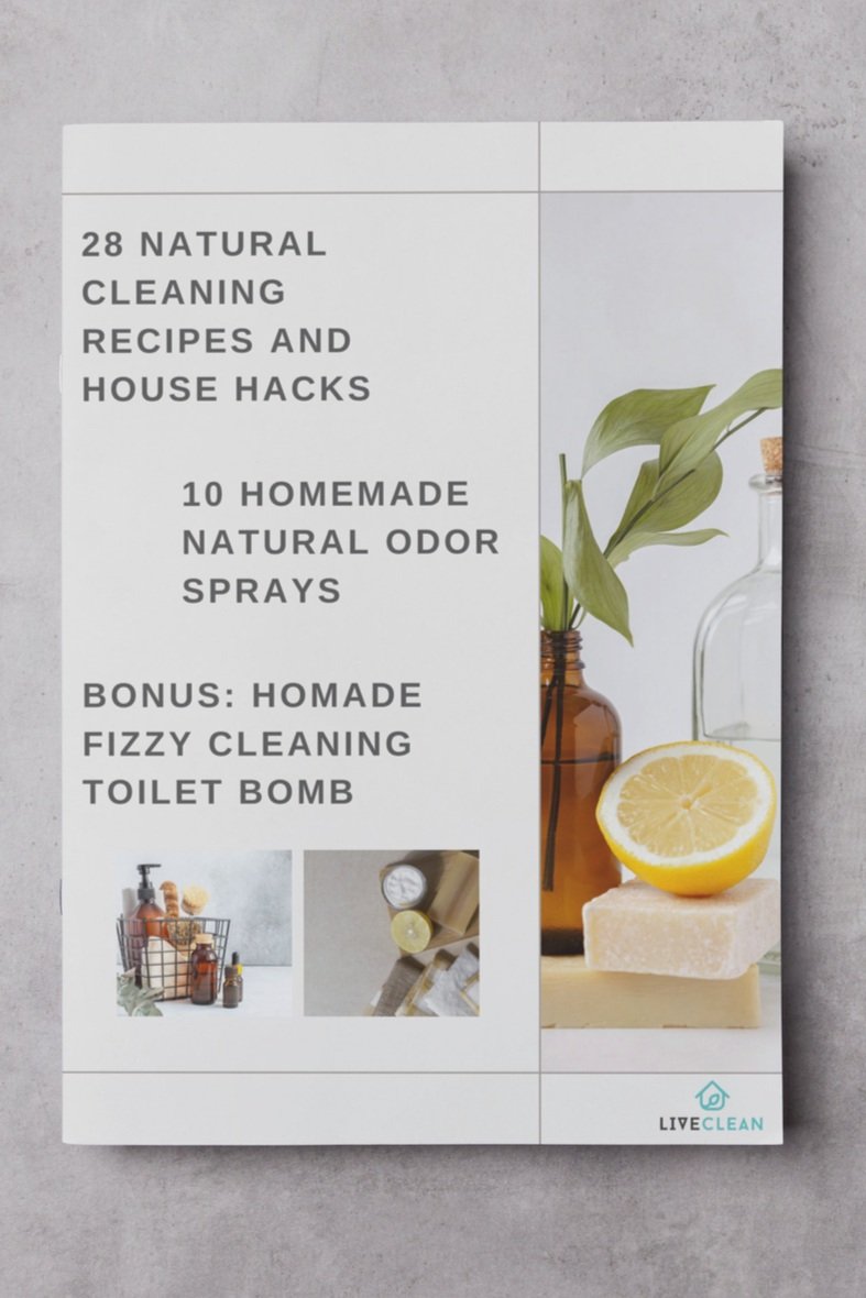A4+booklet+on+the+desk_NATURAL+CLEANING+RECIPES+INDICE.jpg