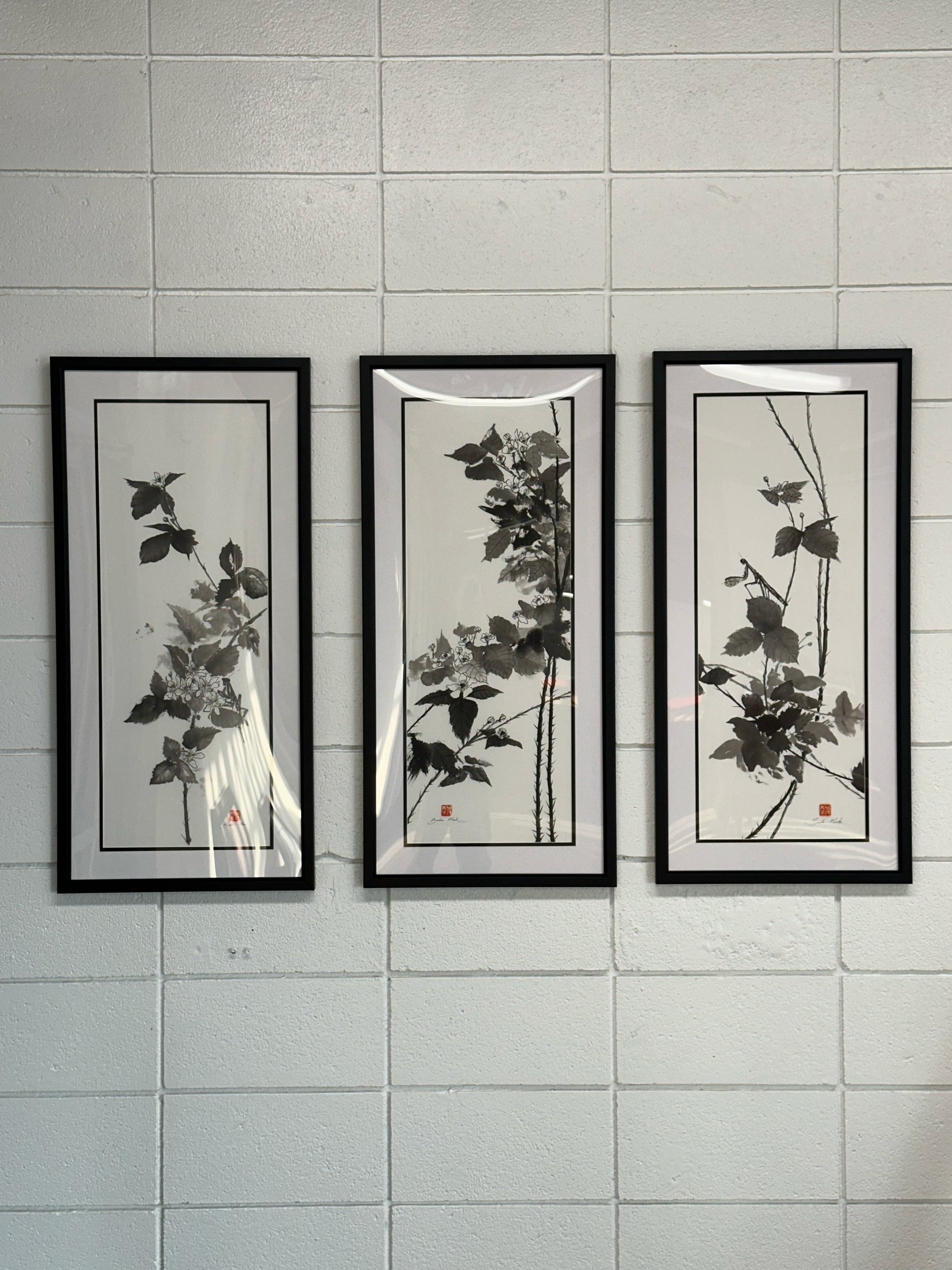 Blackberry paintings series