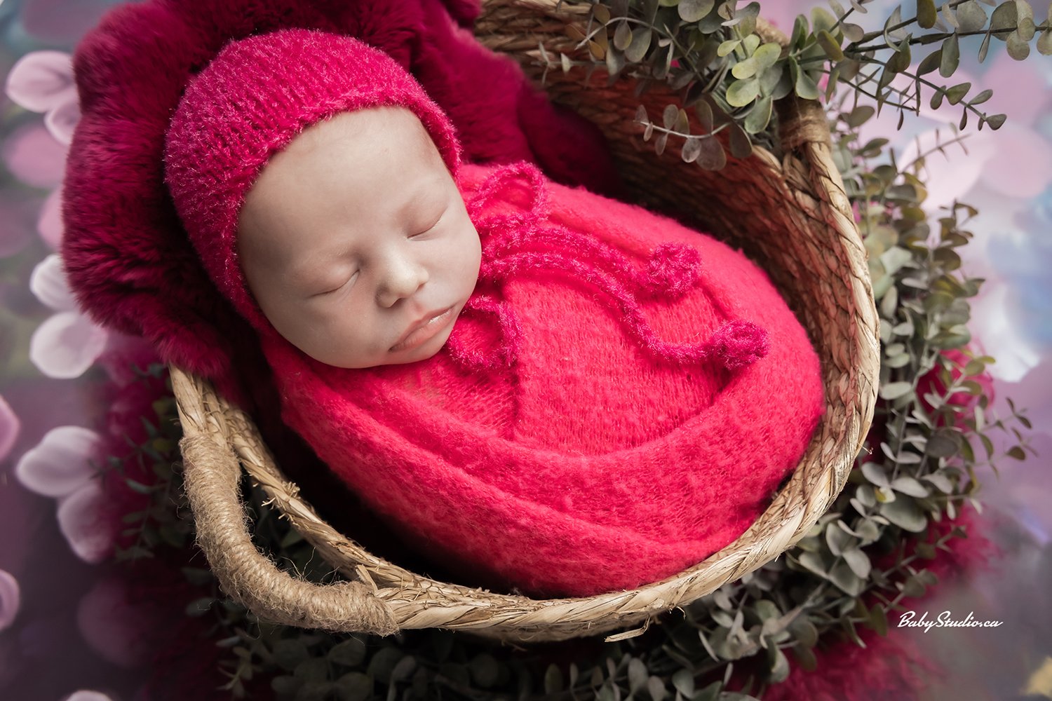 newborn photography 