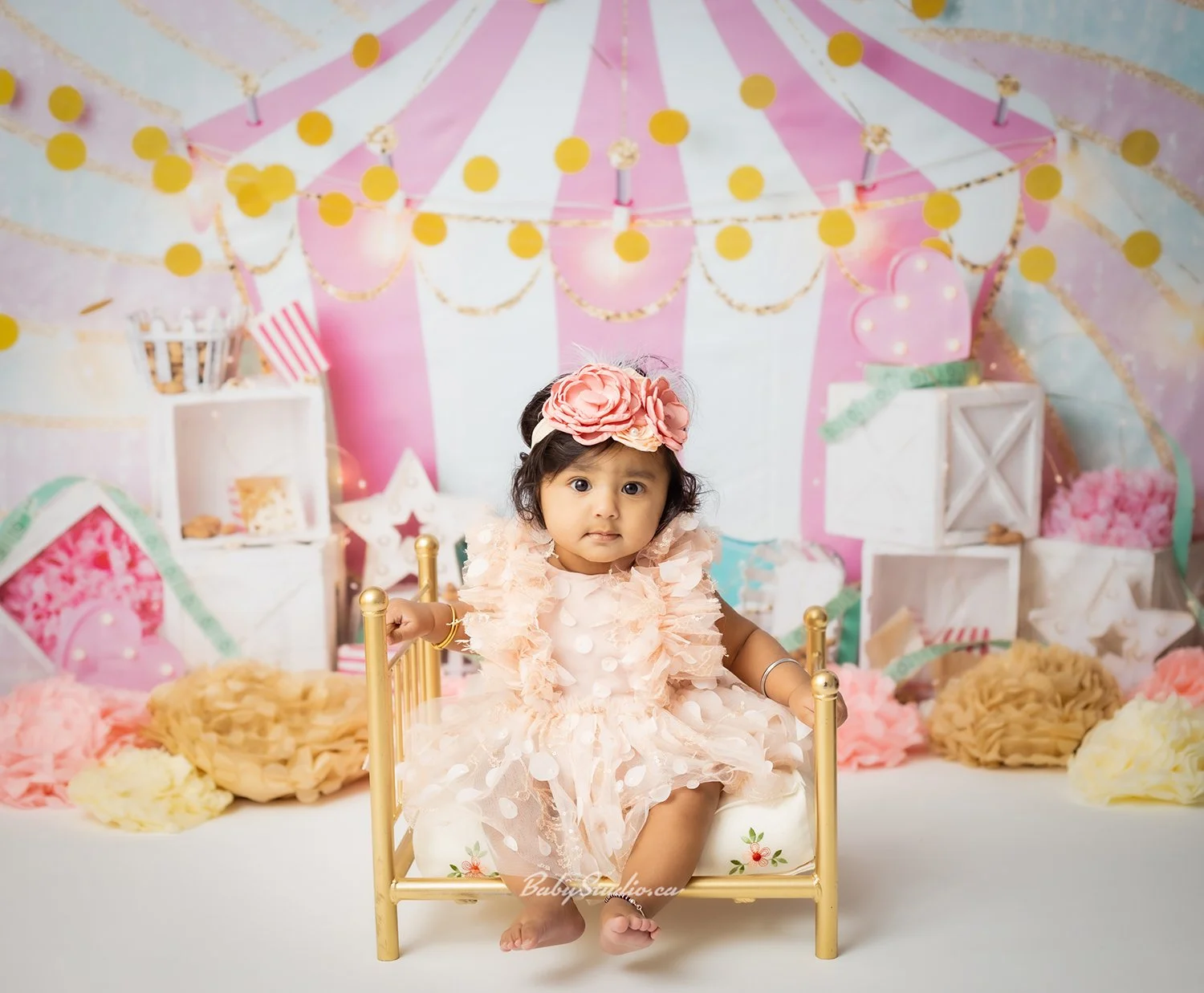 Sitter Photography