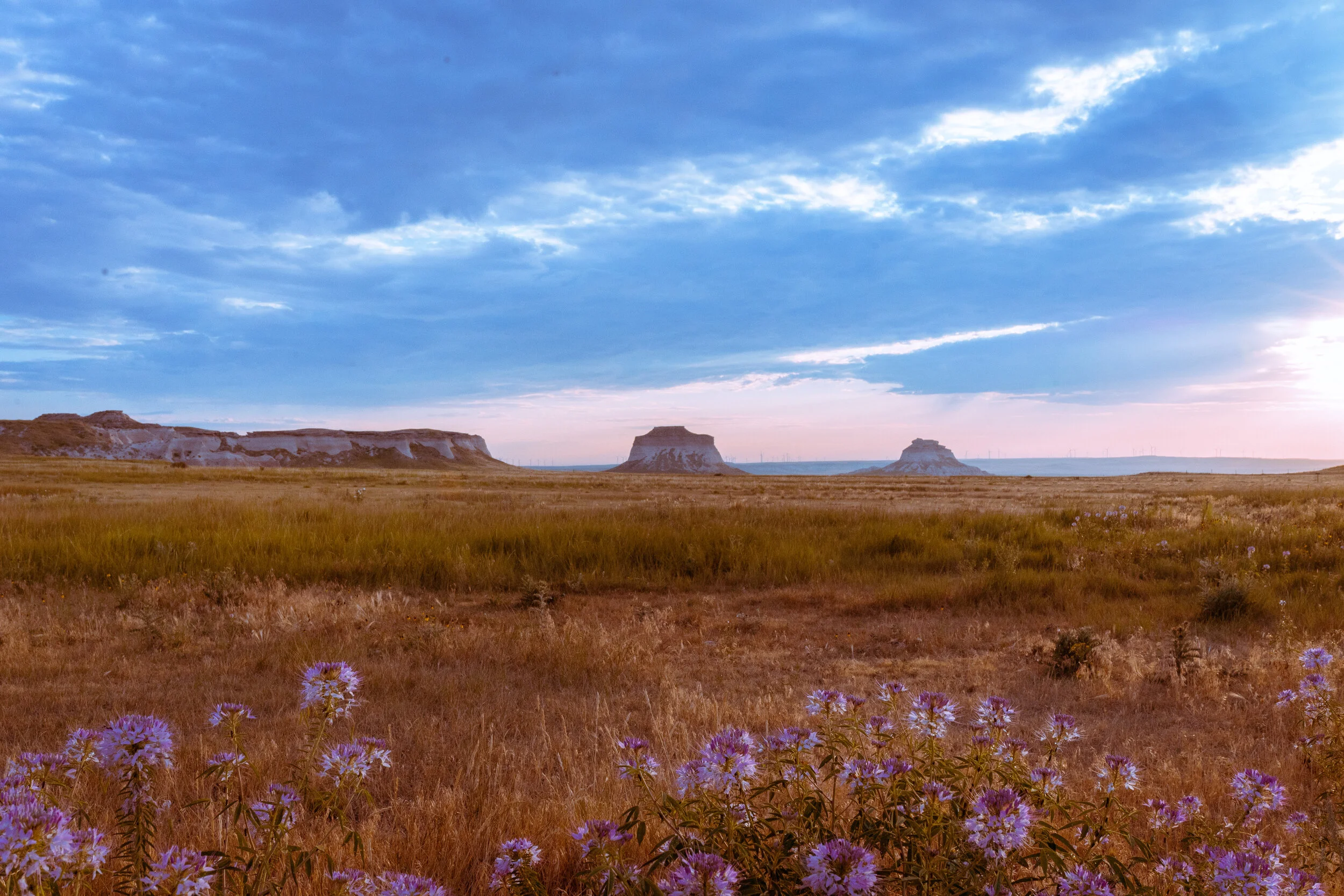 Photo Jul 30, 7 36 10 AM.jpg