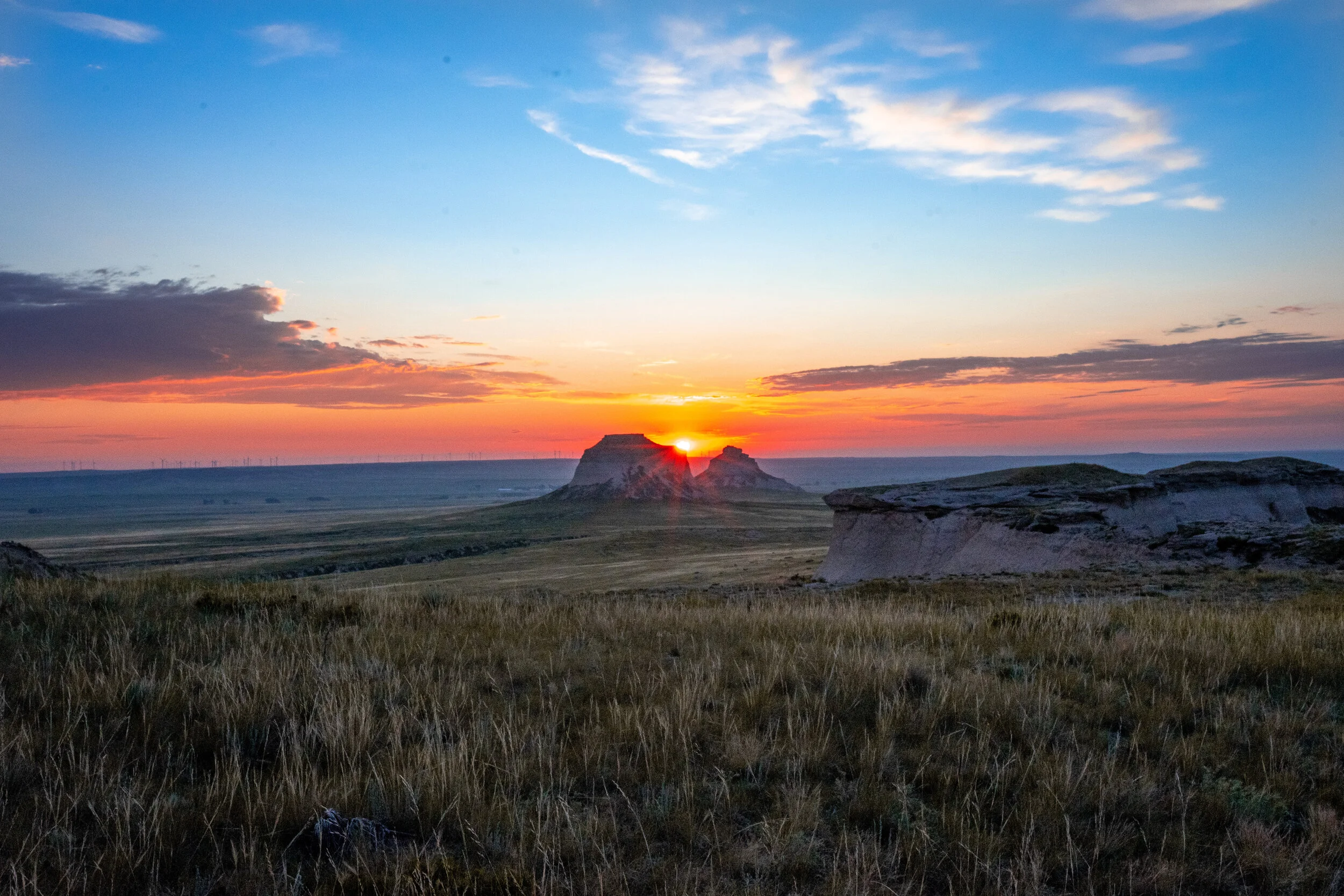 Photo Jul 30, 7 07 00 AM.jpg