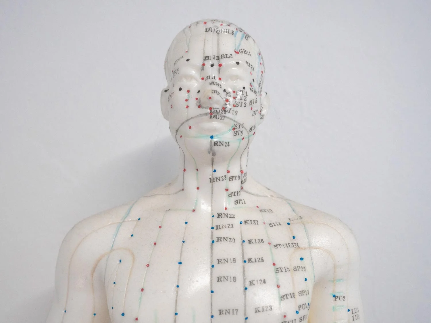 Acupuncture — pin & tonic Launceston Tasmania Acupuncture and