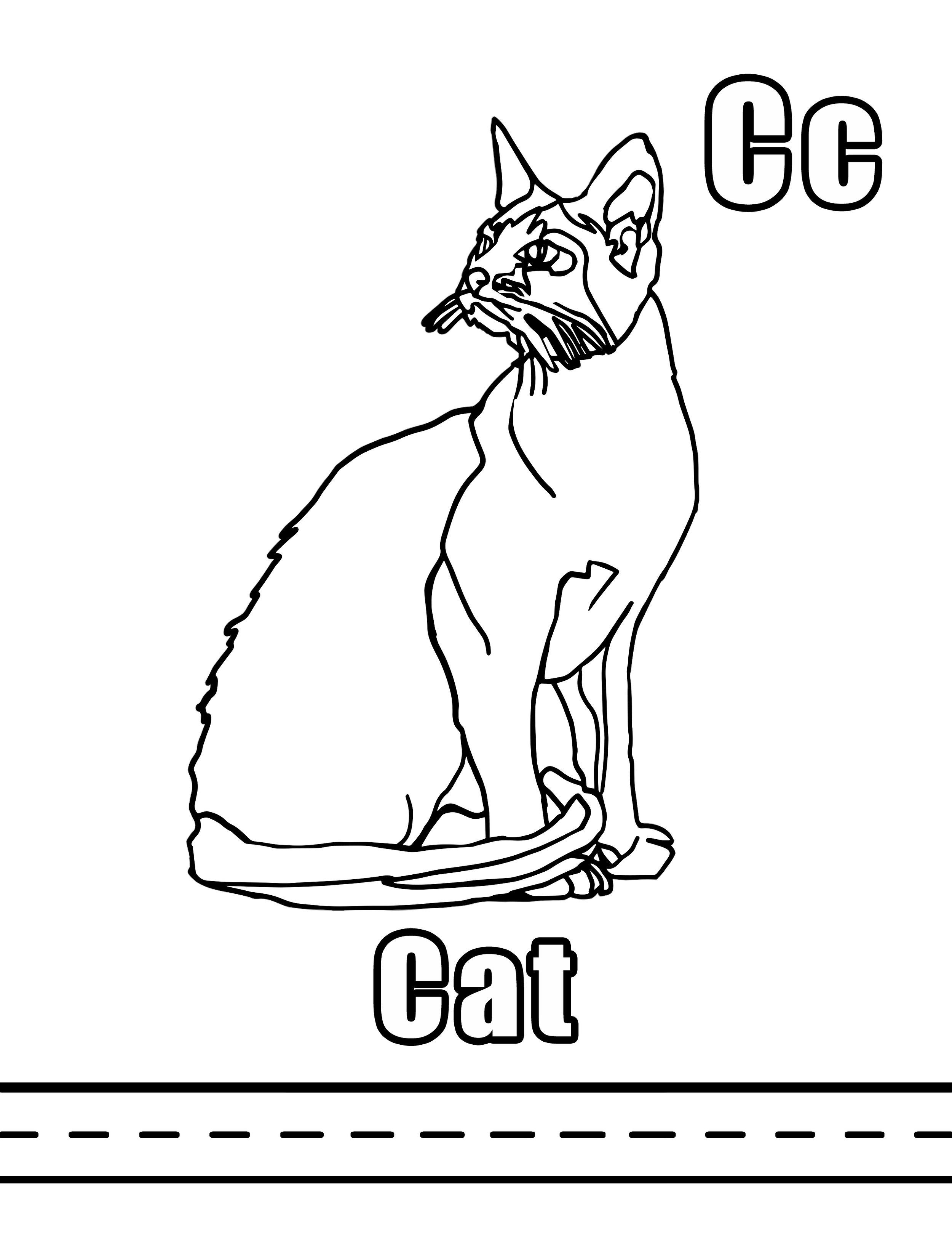 Cc Cat.jpg