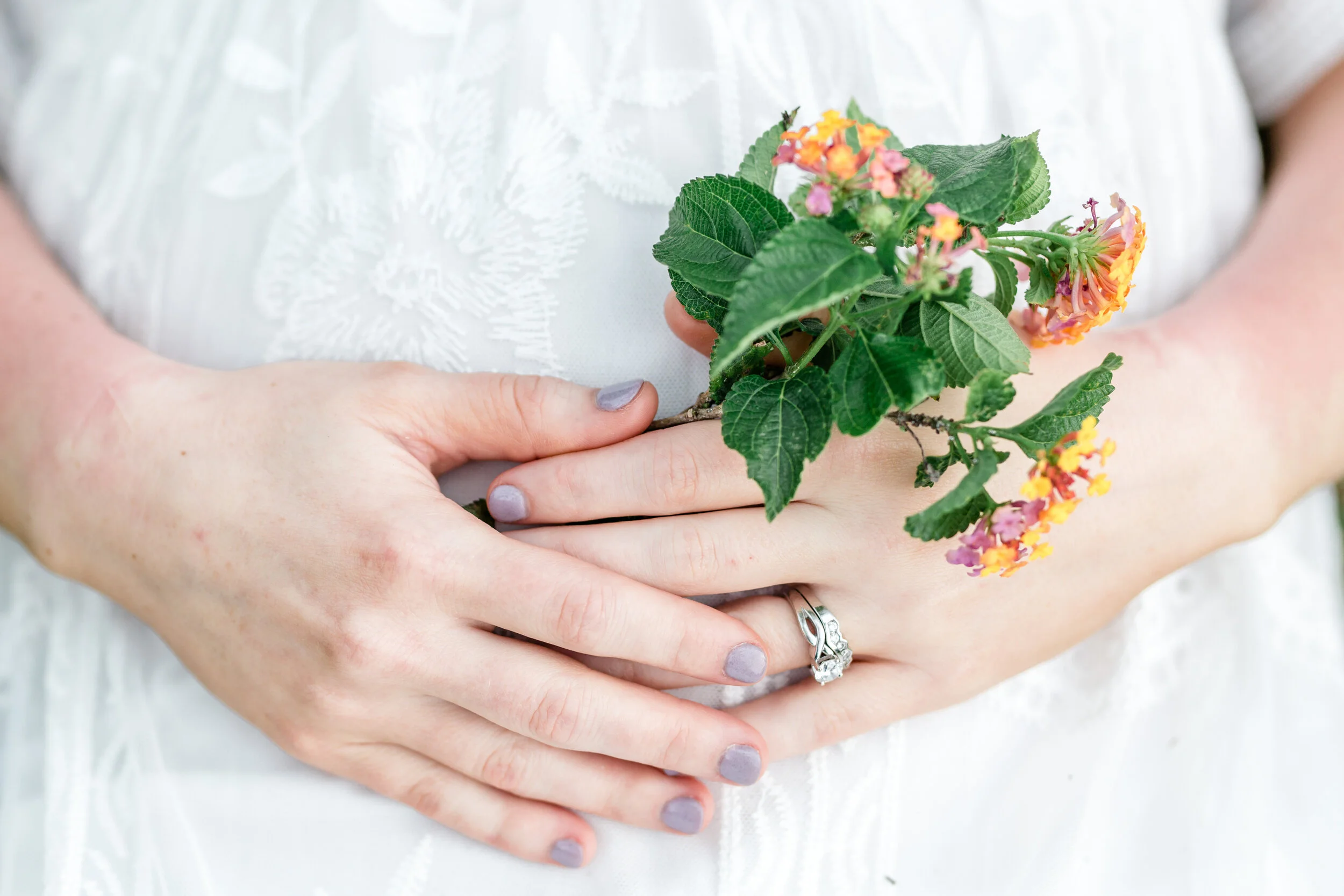 Person holding a colorful flowering plant with green leaves, wearing a silver ring on their finger, and dressed in white clothing.