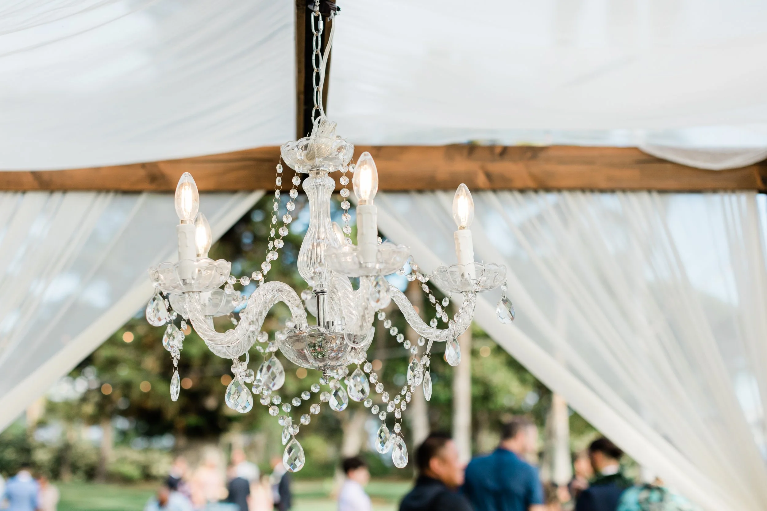 Divina & Mark567.jpg