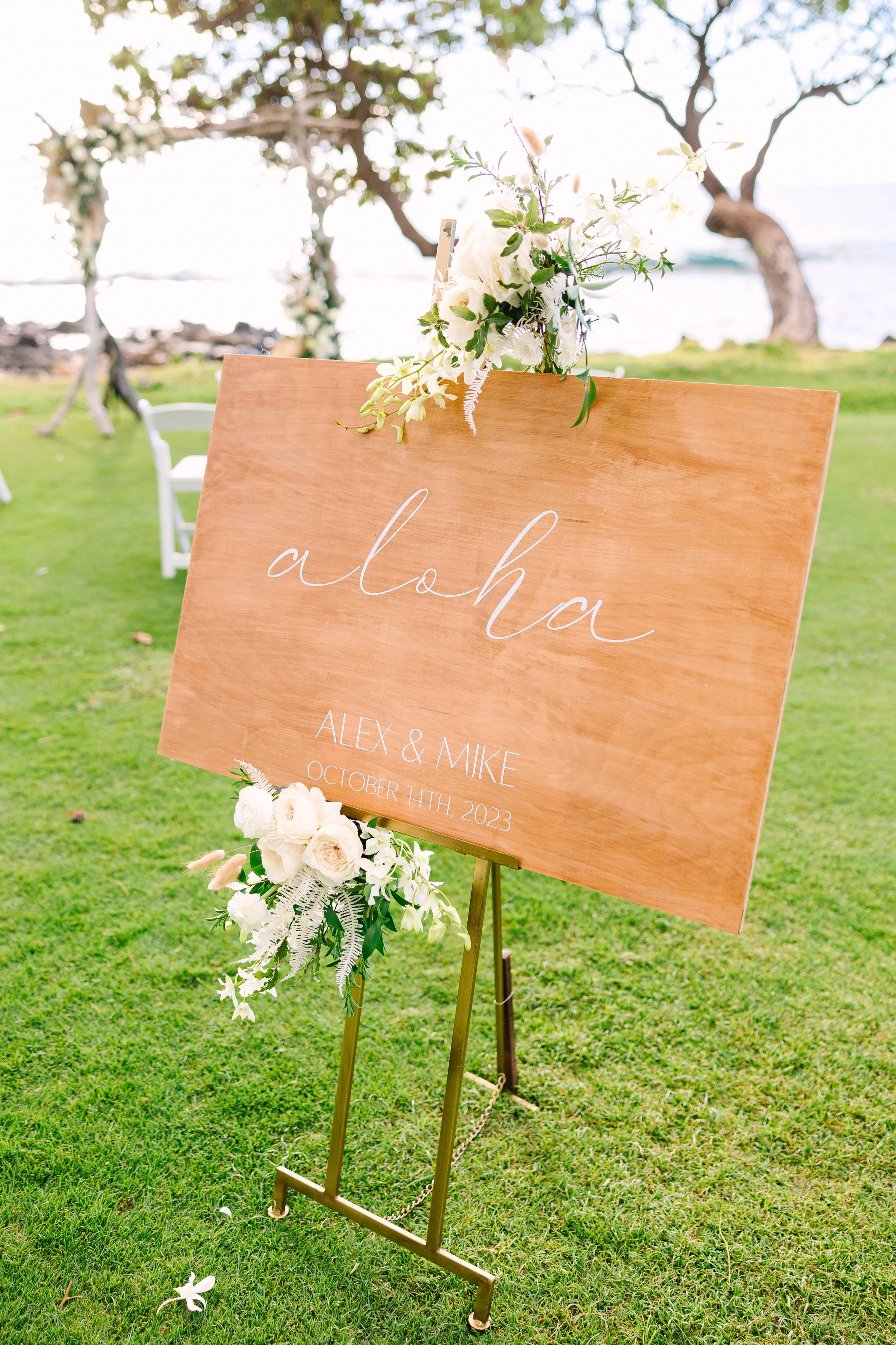 Alex & Mike80.jpg