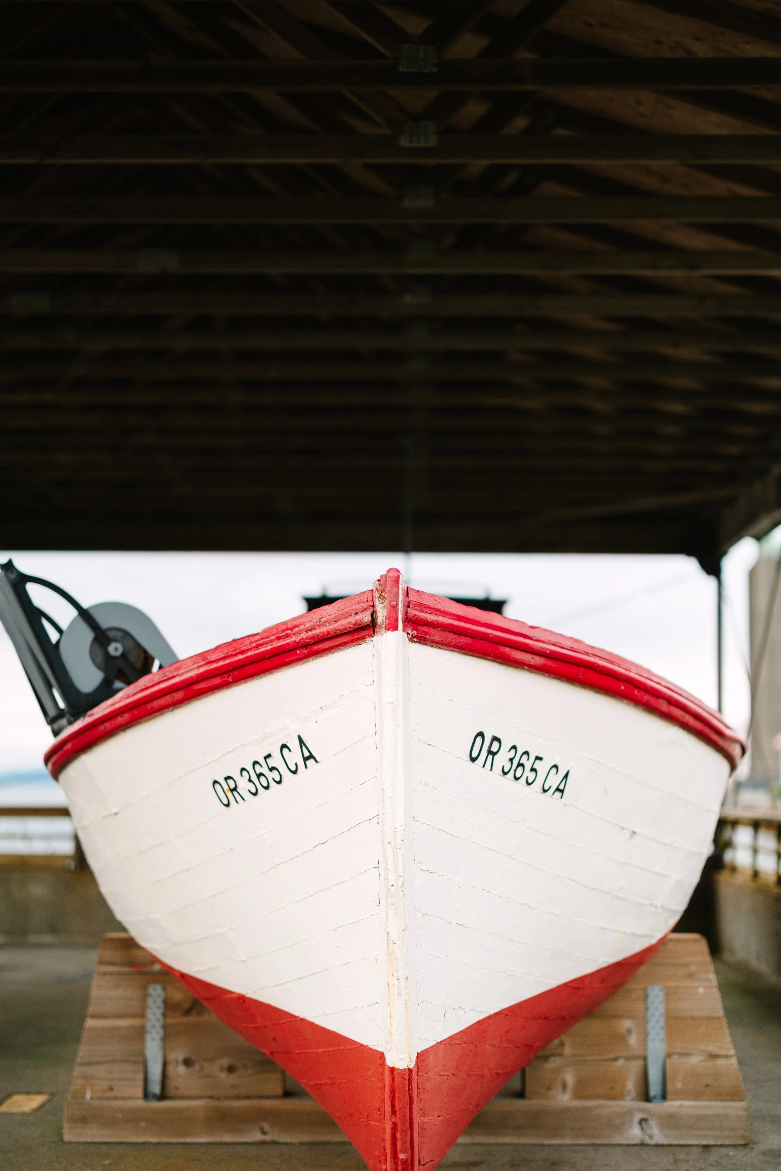 B90A9973.jpg