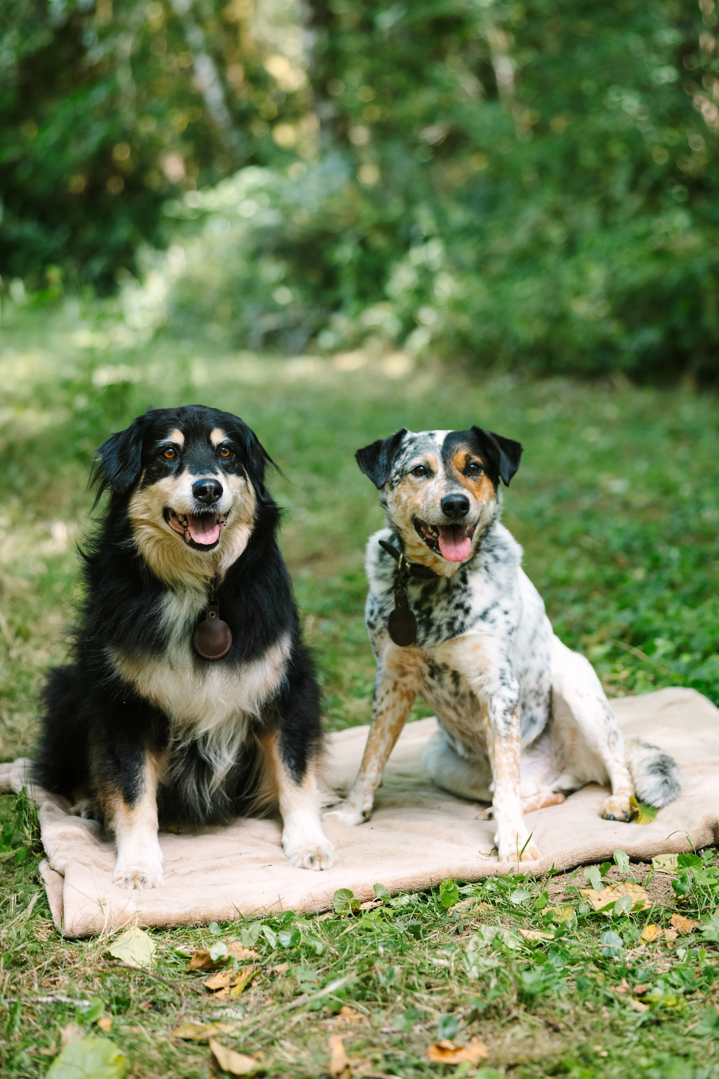 Natalie & Joseph114.jpg