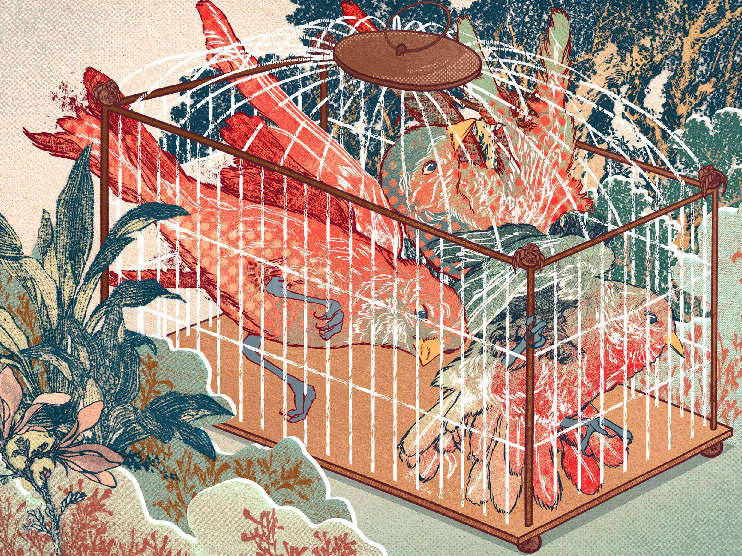 Scientific American: Coping with Stress in the Pandemic
