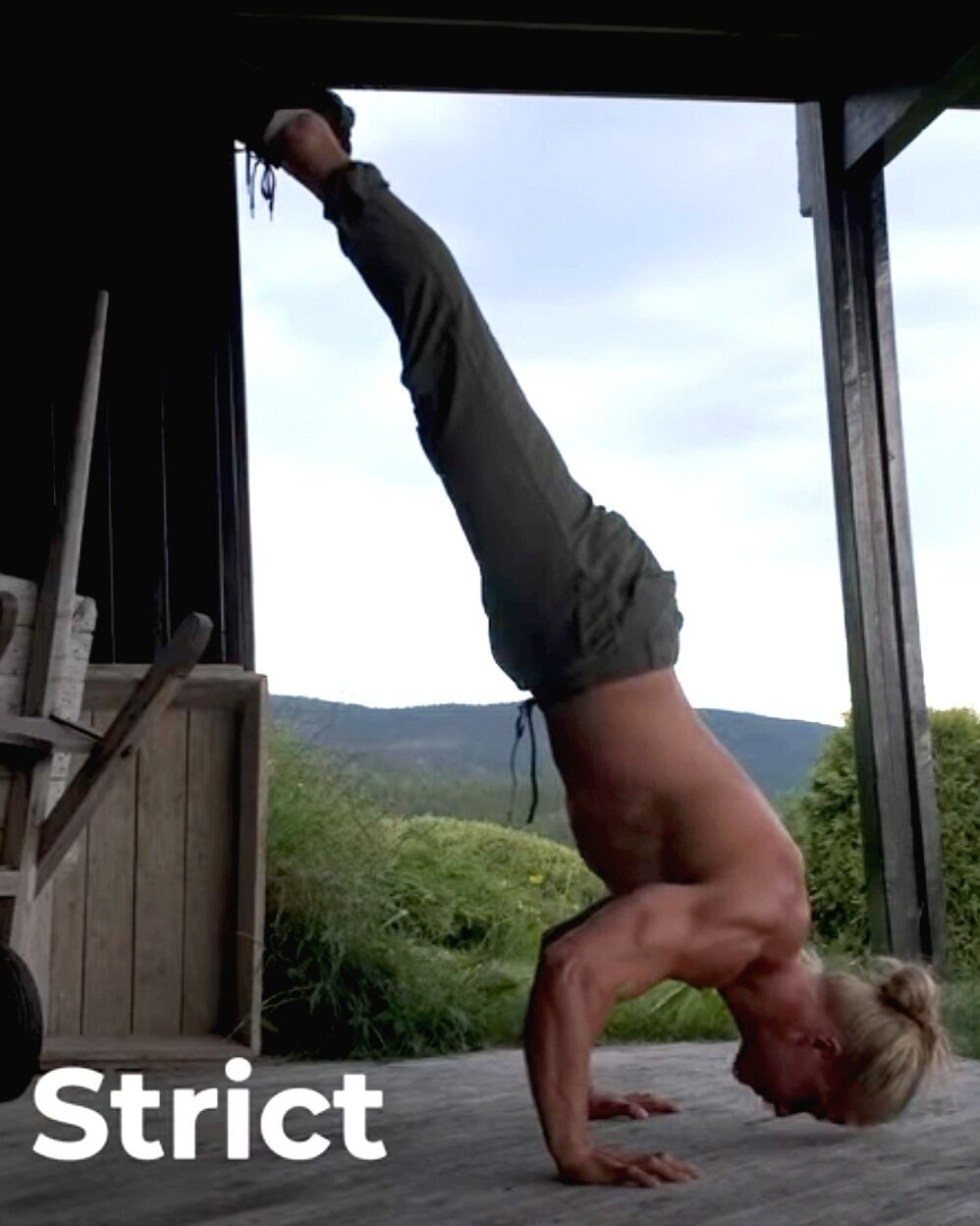 Handstand Push Up How Deep Can YOU Go? Partial to Deficit! Wall to