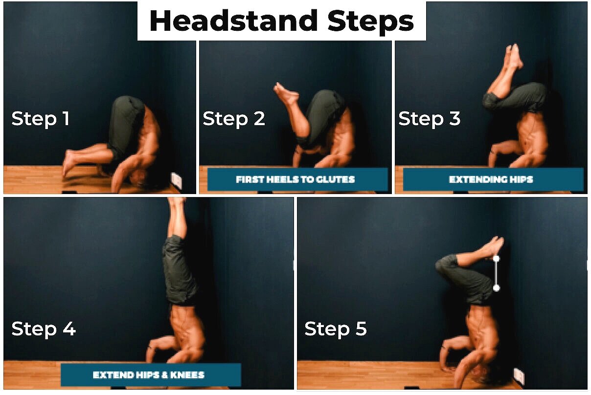 Handstand Guide For Complete Beginners 3 Steps — Berg Movement