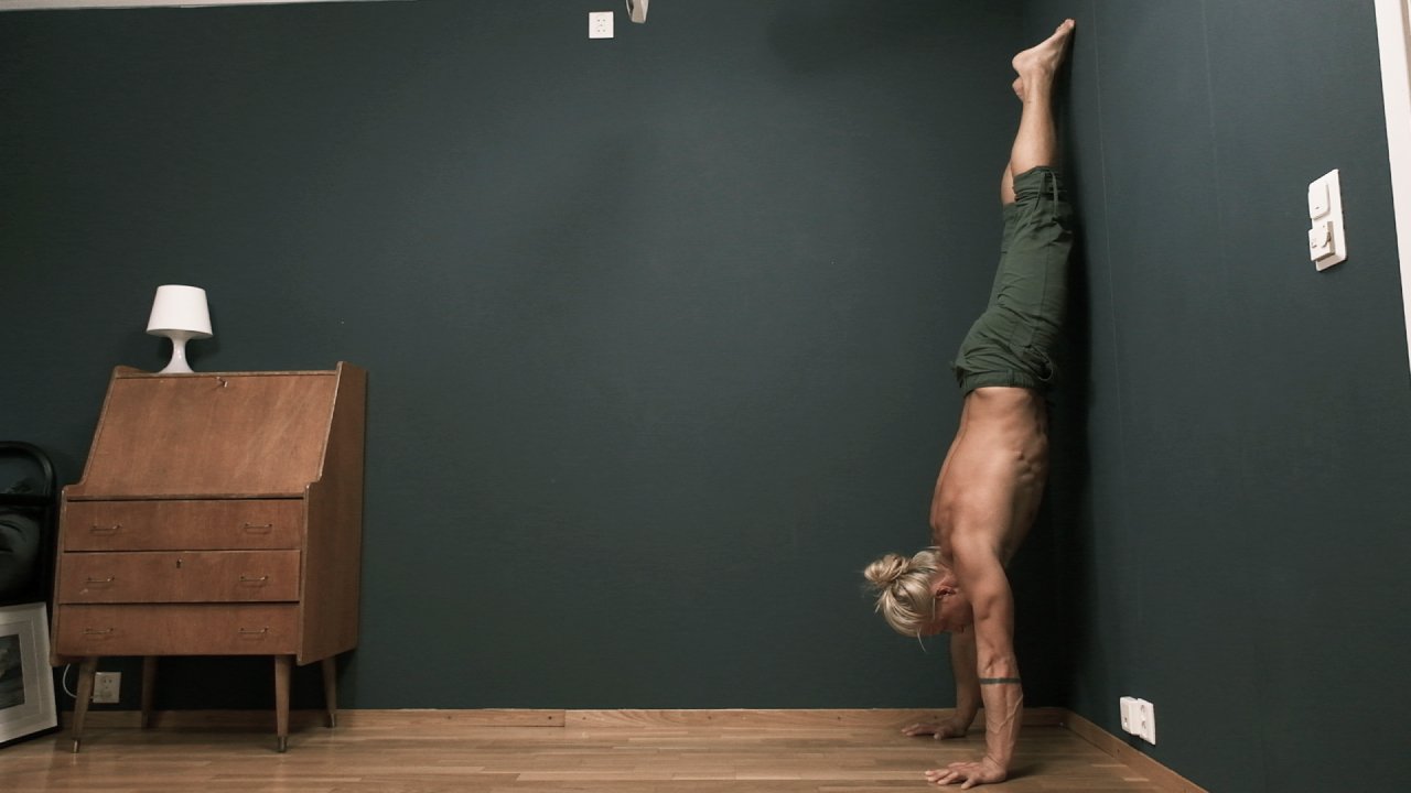 Handstand 1 Program Introduction (Copy)