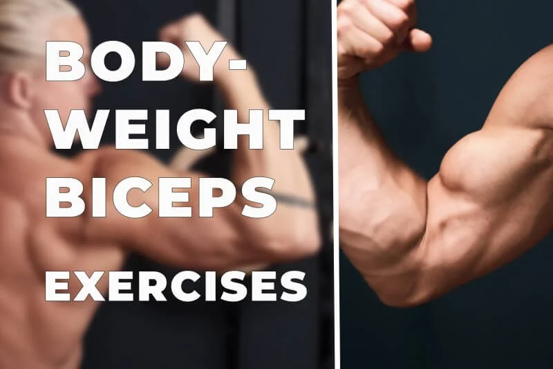 Biceps — Calisthenics, bodyweight strength and handstand Tips