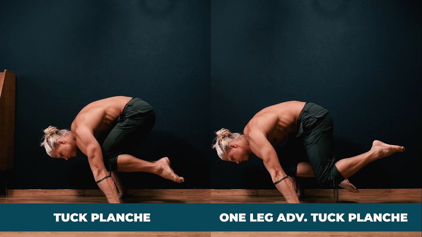 Learn the planche in 4 steps: Uncommon strategies and best progressions —  BERG MOVEMENT