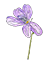 Violetright.png