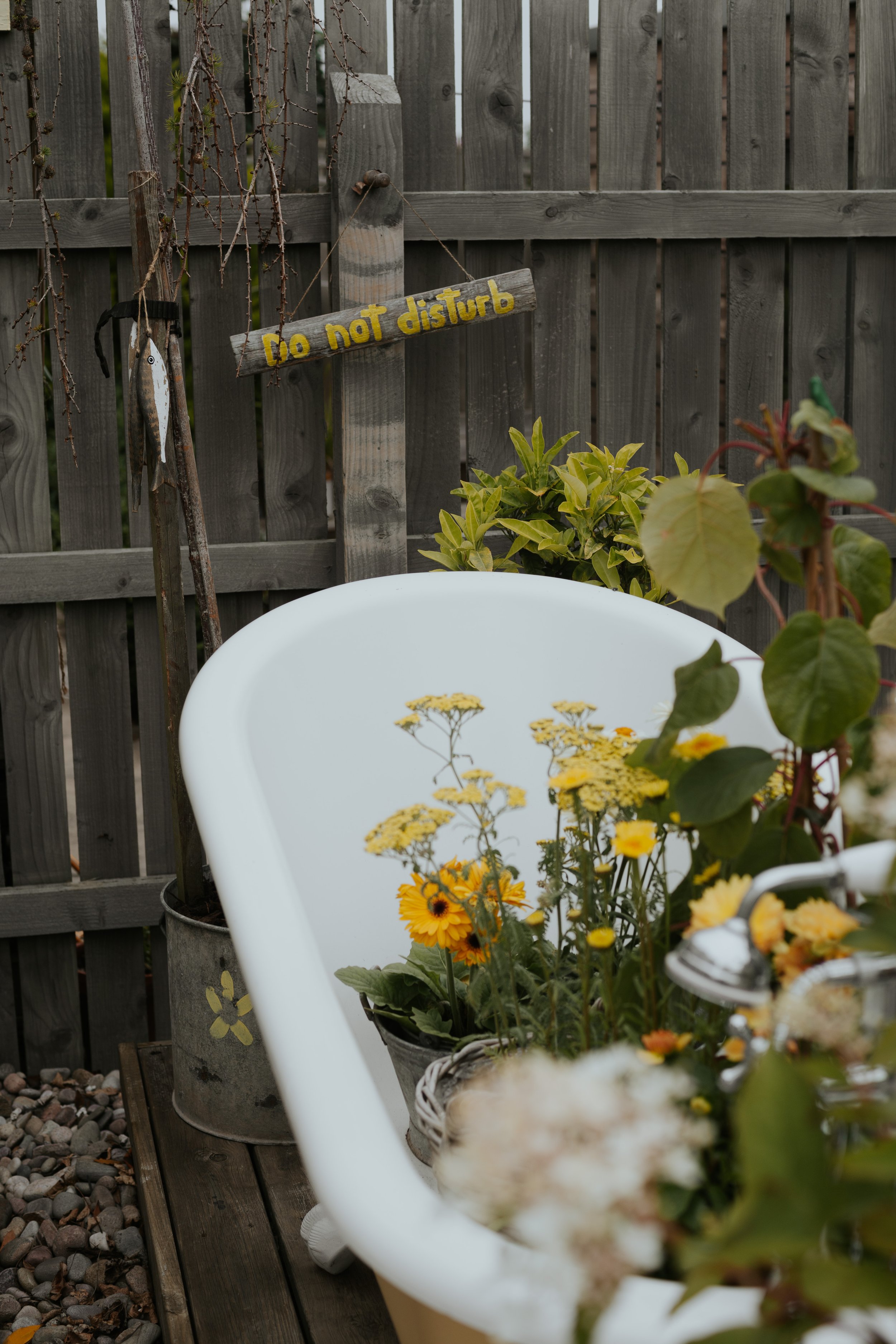 The Beauty Garden.JPG