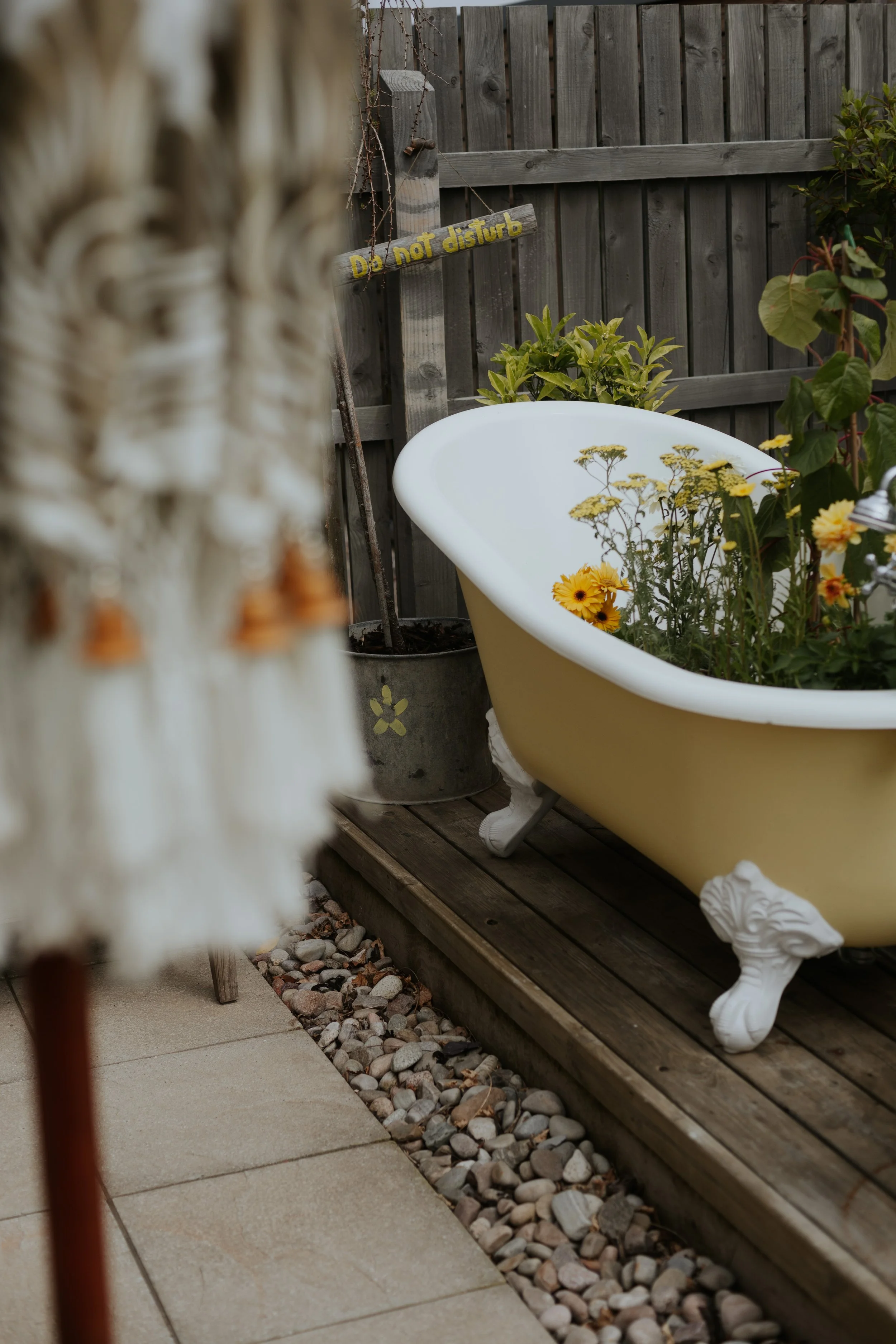 The Beauty Garden.JPG