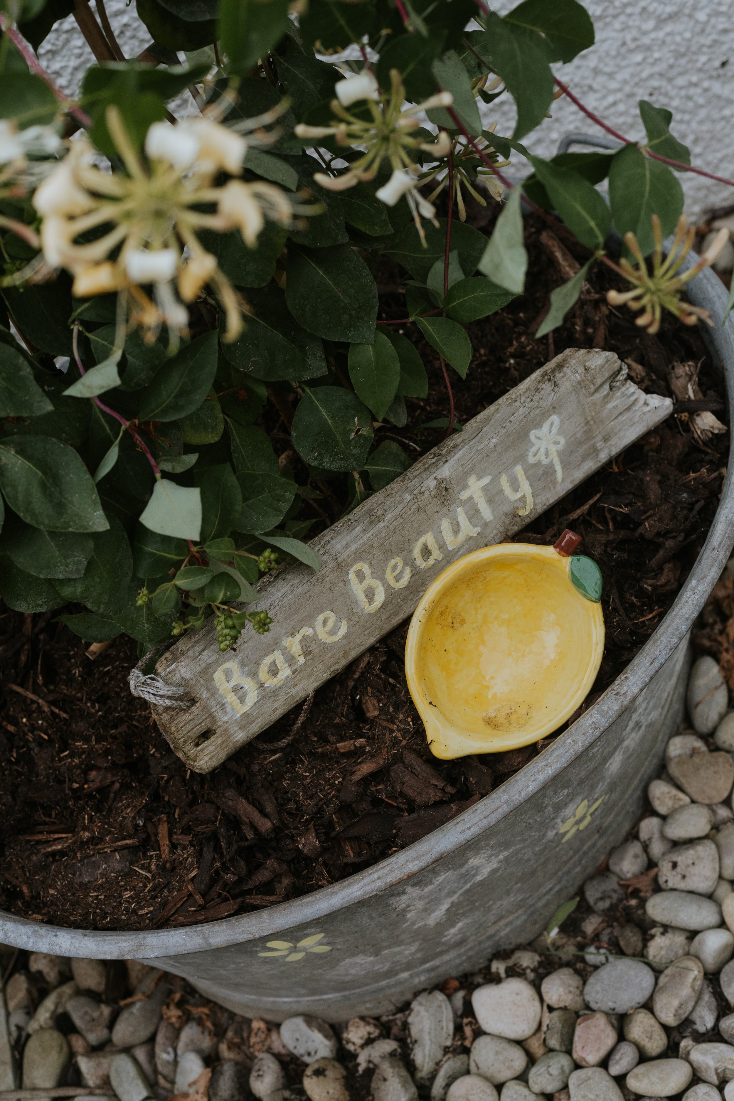 Bare Beauty Garden.JPG