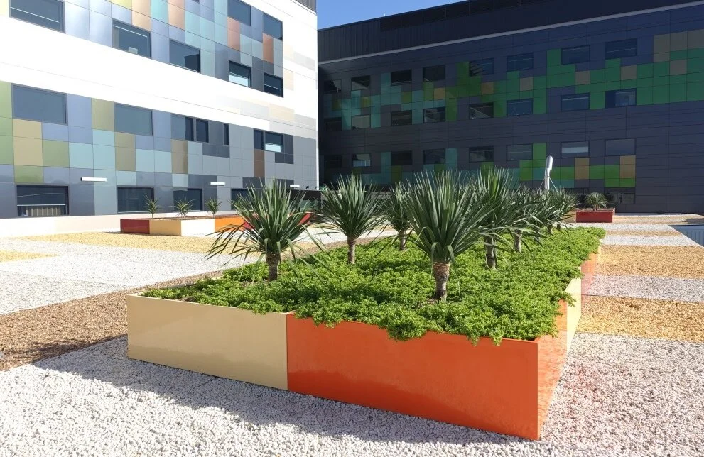 Wagga Wagga Base Hospital — TaylorBrammer