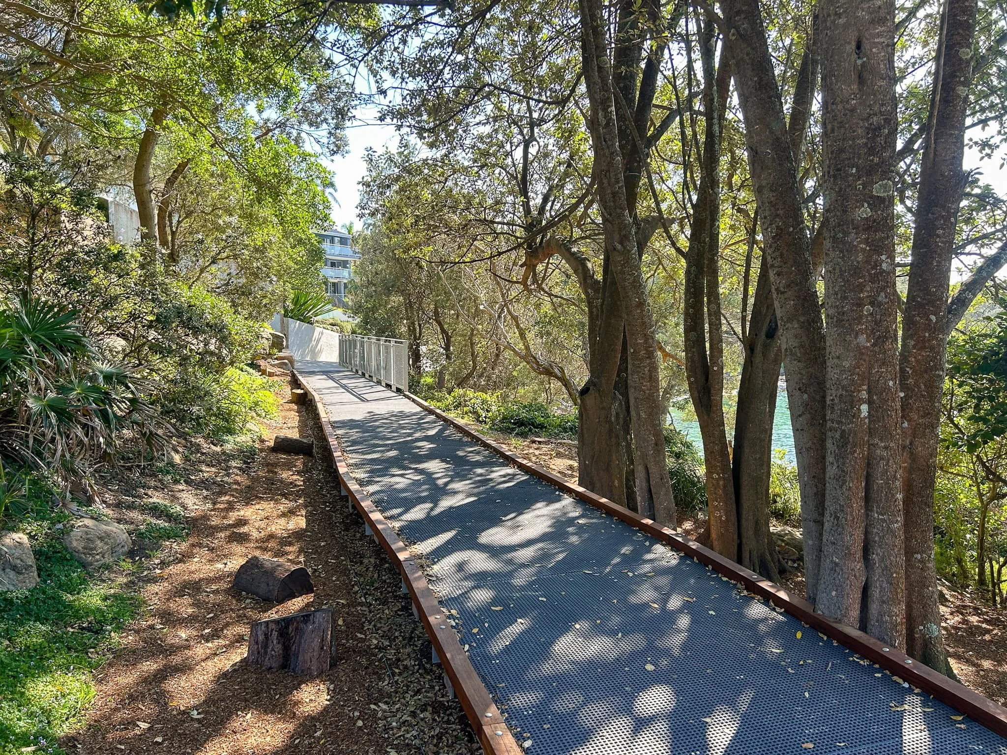 The Hungry Point Clifftop Walkway, Cronulla — TaylorBrammer