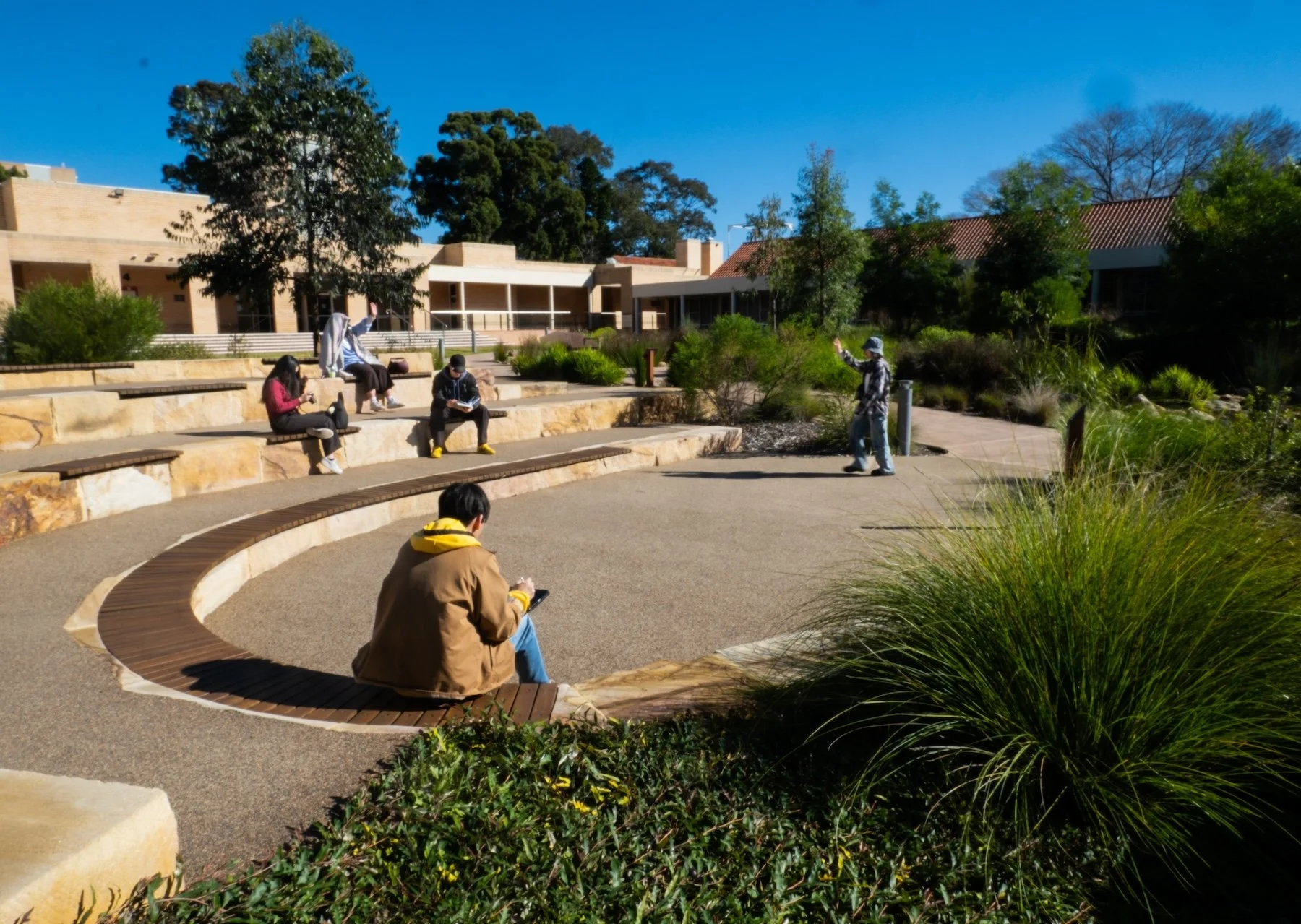 Amphitheatre, seating, sandstone, planting, garden