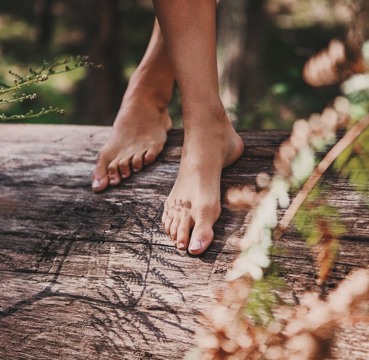 Walk barefoot on Mother Earth and feel the roots of your ancestors holding you strong. There&rsquo;s a sense of stability, an unspoken, yet true feeling of a foundation that provides such depth and trust in knowing why we are here on this earth.   Gr
