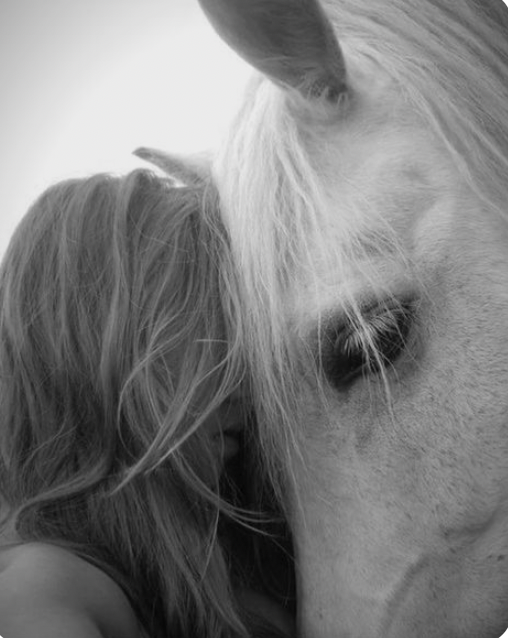 From Shedding to Striding: Closing the Year of the Snake &amp; Entering the Year of the Horse