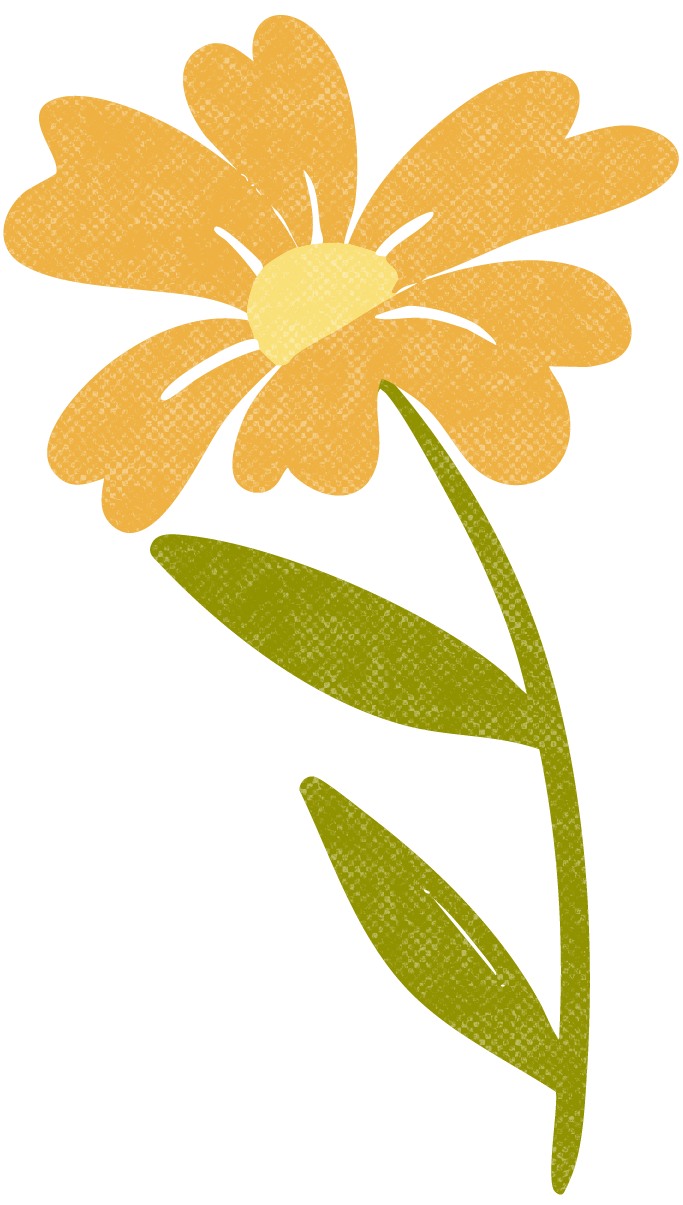 A yellow flower with four large petals and a central yellow stamen, along with a green leaf on a stem.