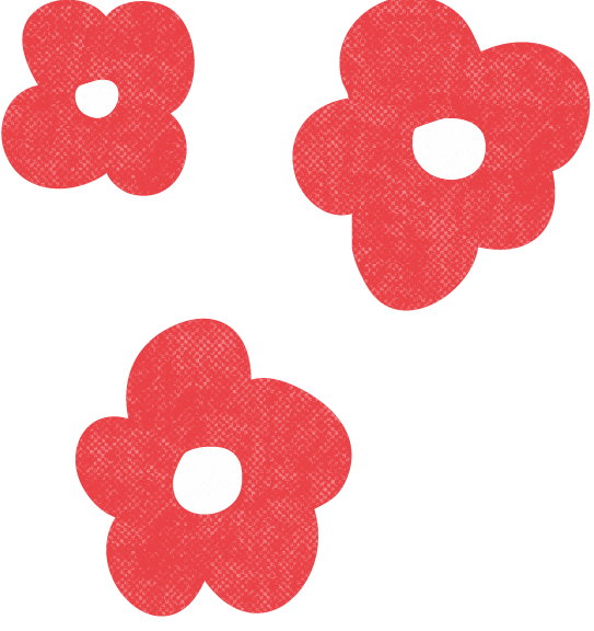 Three red flowers with white centers on a black background.