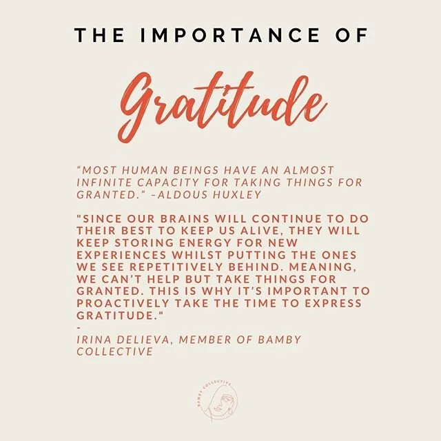 Implementing gratitude in our day to day lives is so important. Humans have an amazing tendency to take things for granted - we need to take the time to appreciate everything in our lives. For tips on how you can implement gratitude in your life, che
