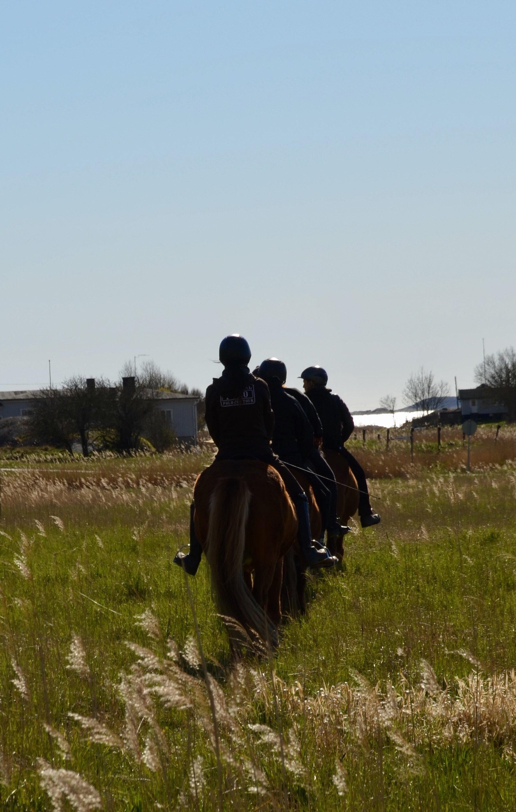 DSC_0846.jpeg