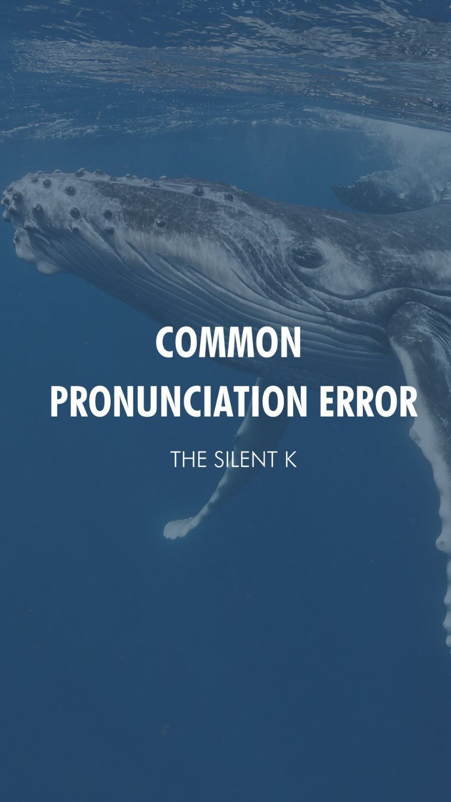 The silent K is a very common pronunciation error for Spanish speakers.
Keep on practicing with these other words: knife, Knick-knack, knit, kneel, knob. 🔪
Are there any words that you are unsure how to pronounce? Send me a DM and I’ll corr