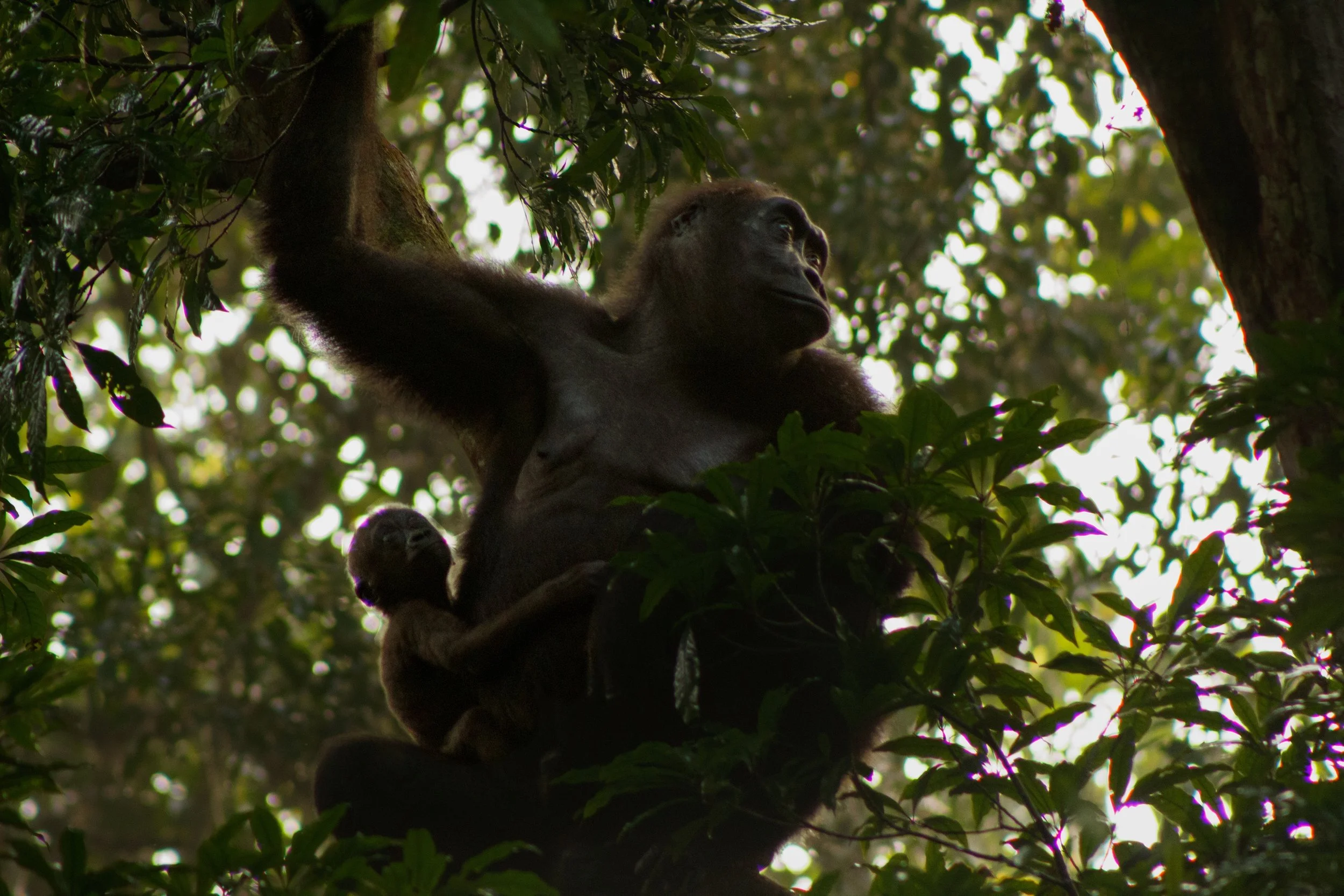 Nick Hendry Journalist