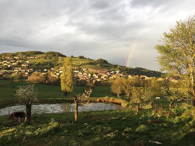 | Apr&egrave;s la pluie 🙌🏼|
.
.
.
#ferme
#montsdulyonnais 
#montsdulyonnaistourisme