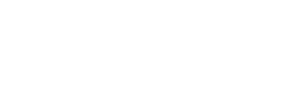bose.png