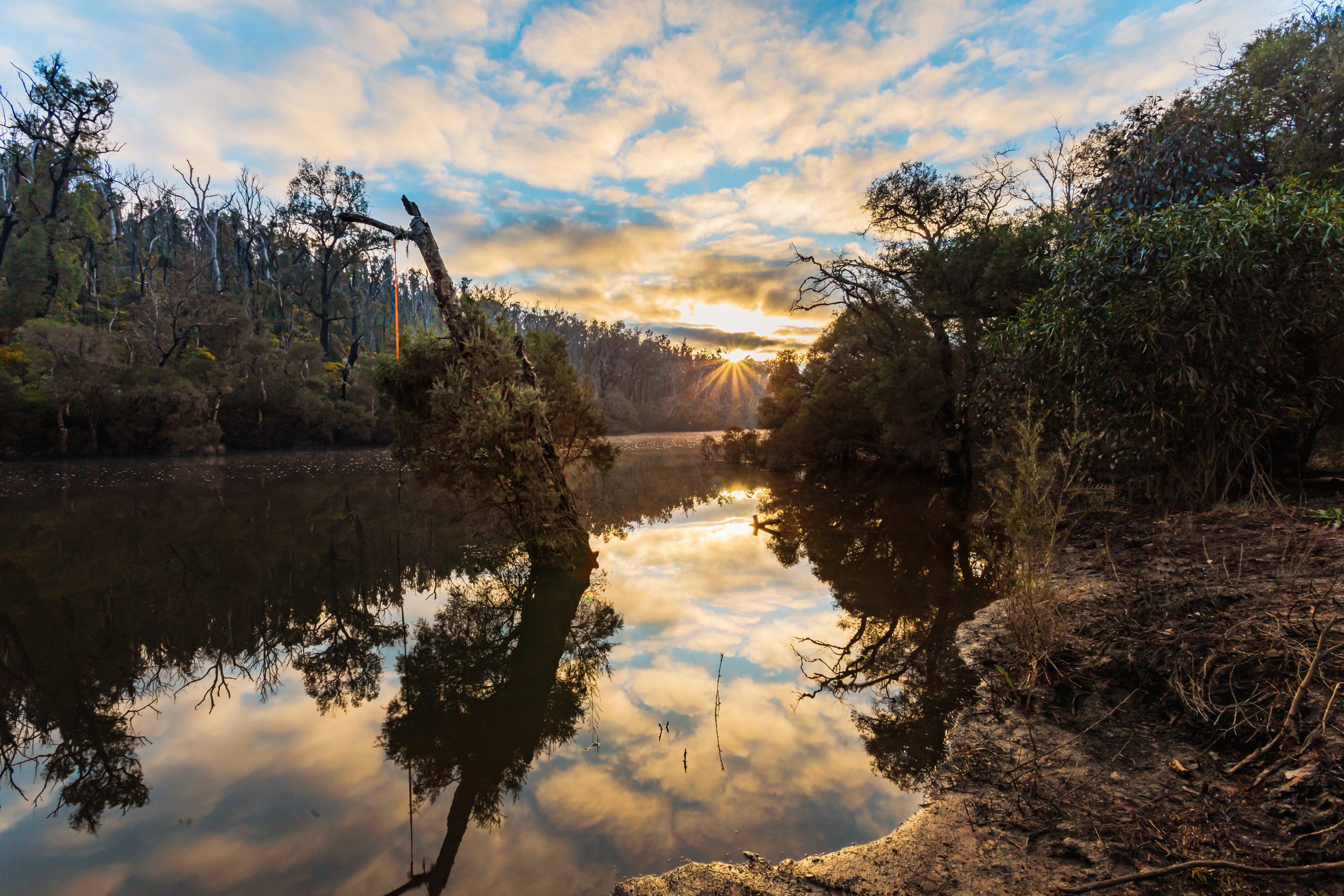 IMG_9622-Edit.jpg