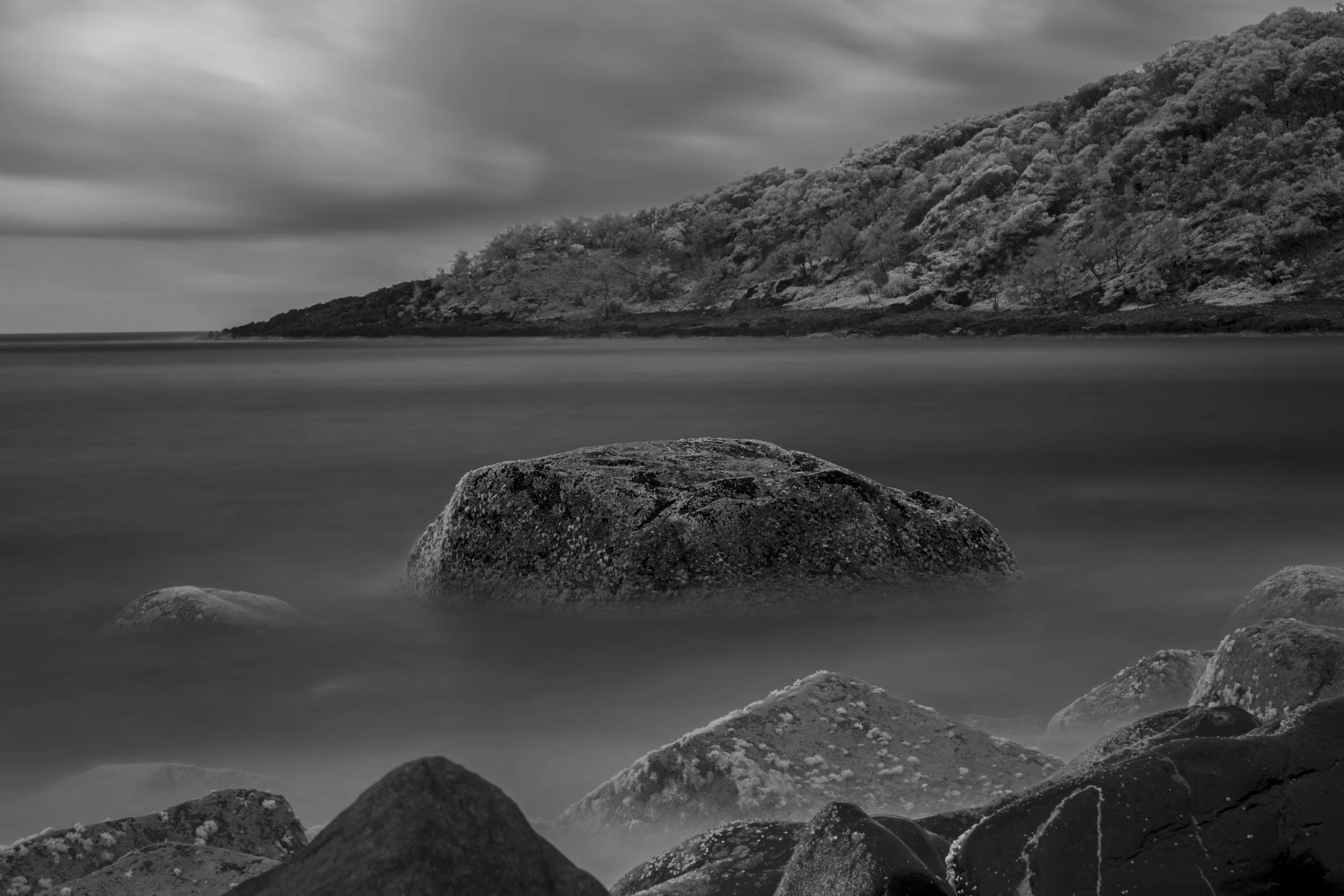 _MGL5397-Enhanced-NR-Edit.jpg
