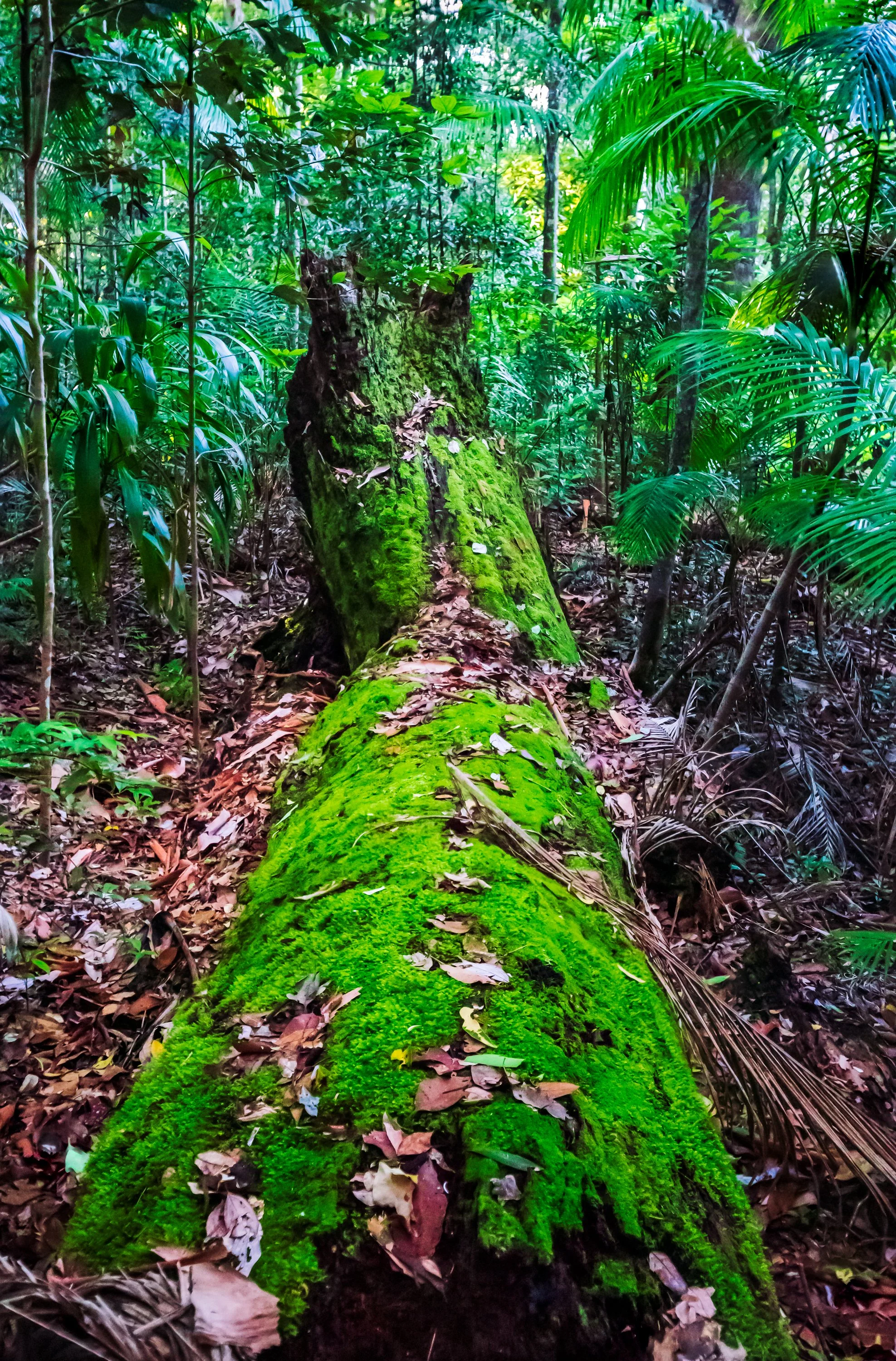 1S5A0749-Edit.jpg