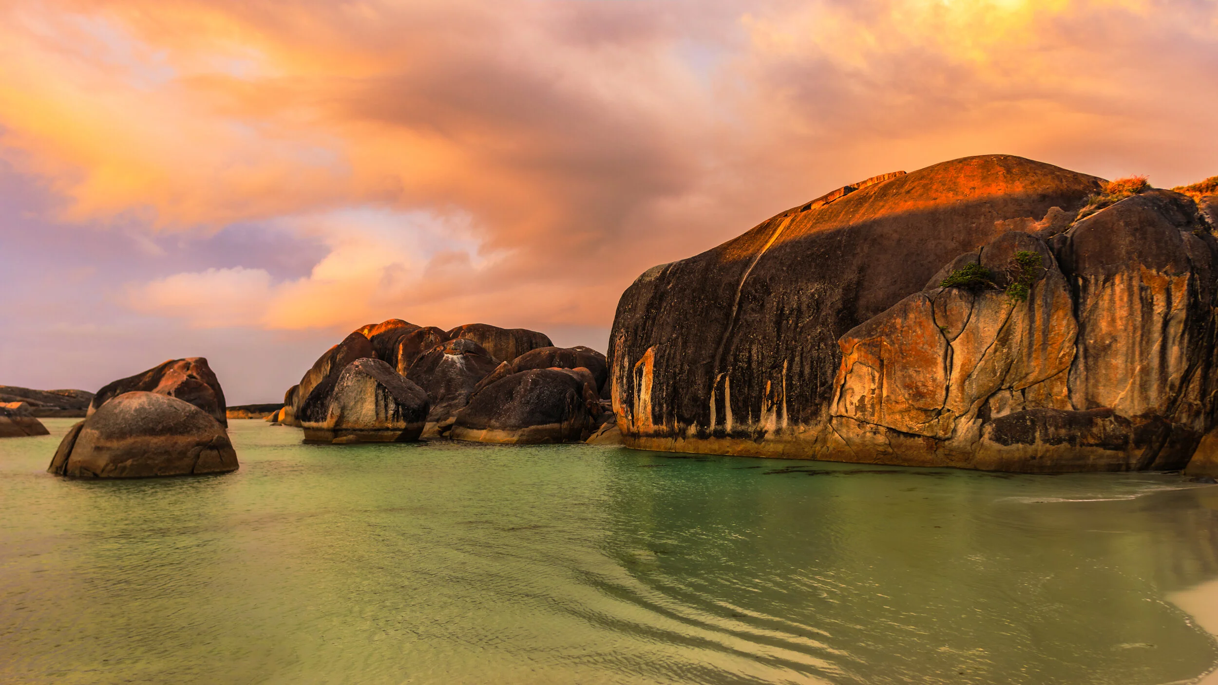 landscape awards-6.jpg