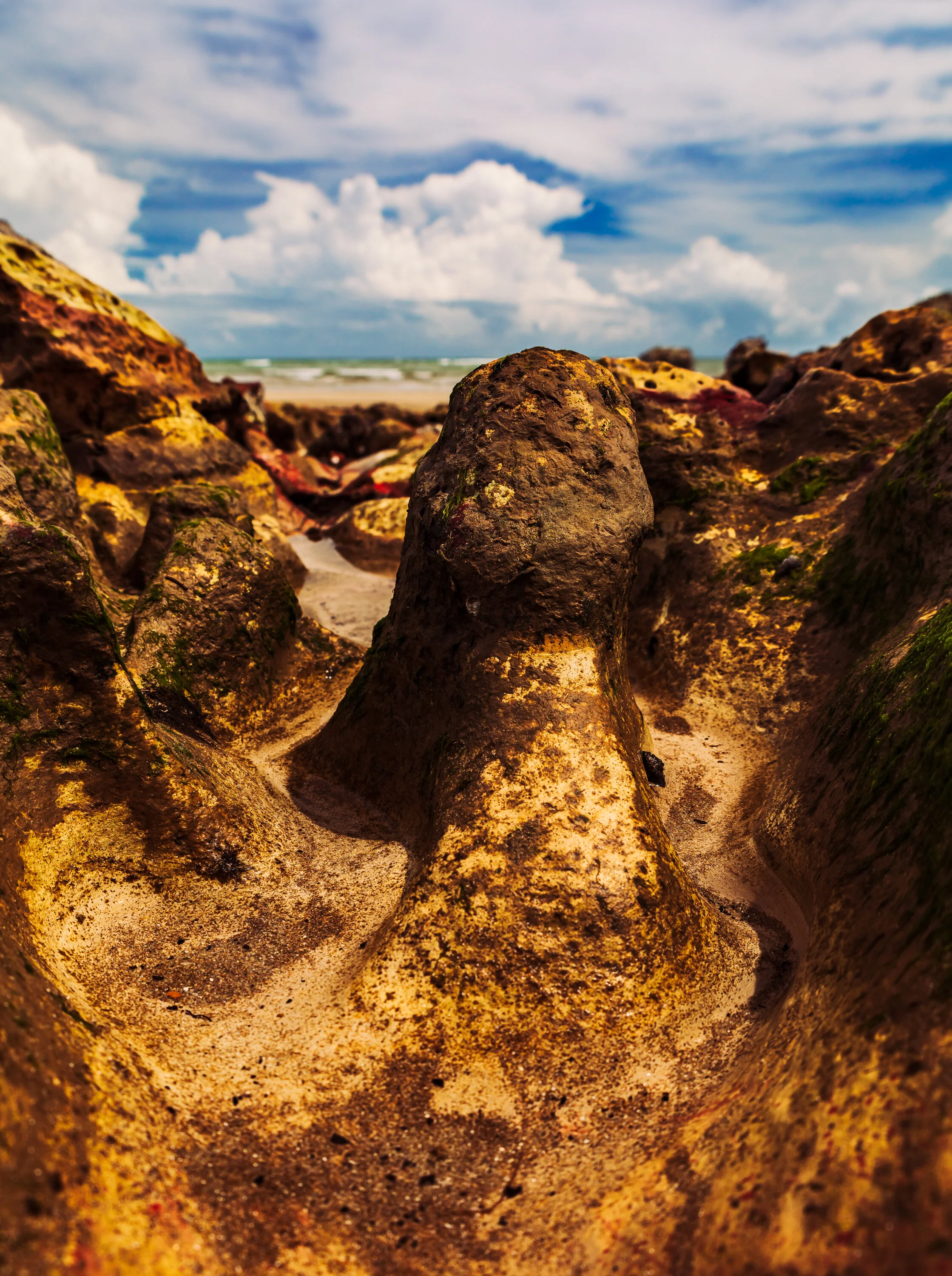 IMG_6922-Enhanced-Edit.jpg