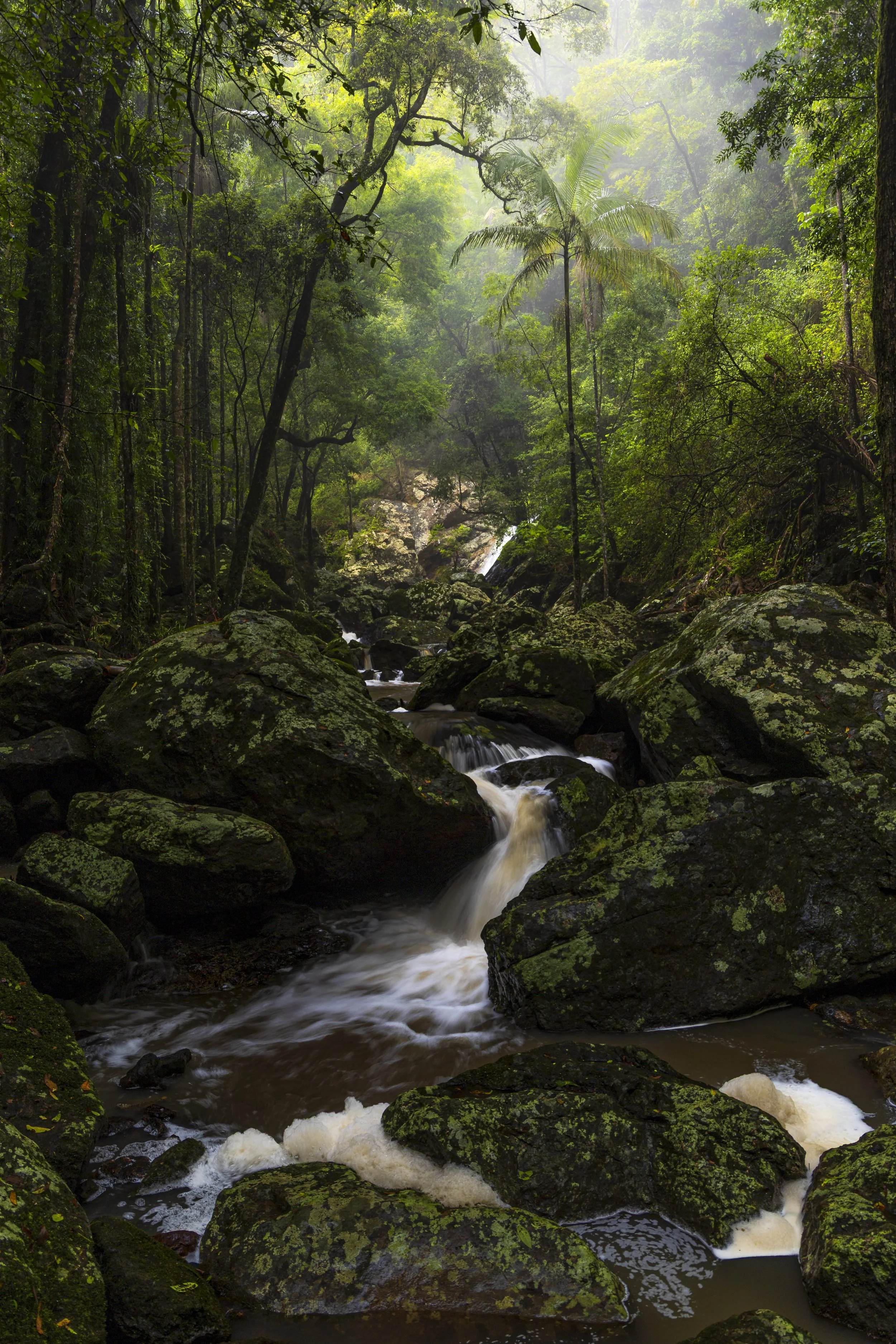 _MGL5305-Edit.jpg